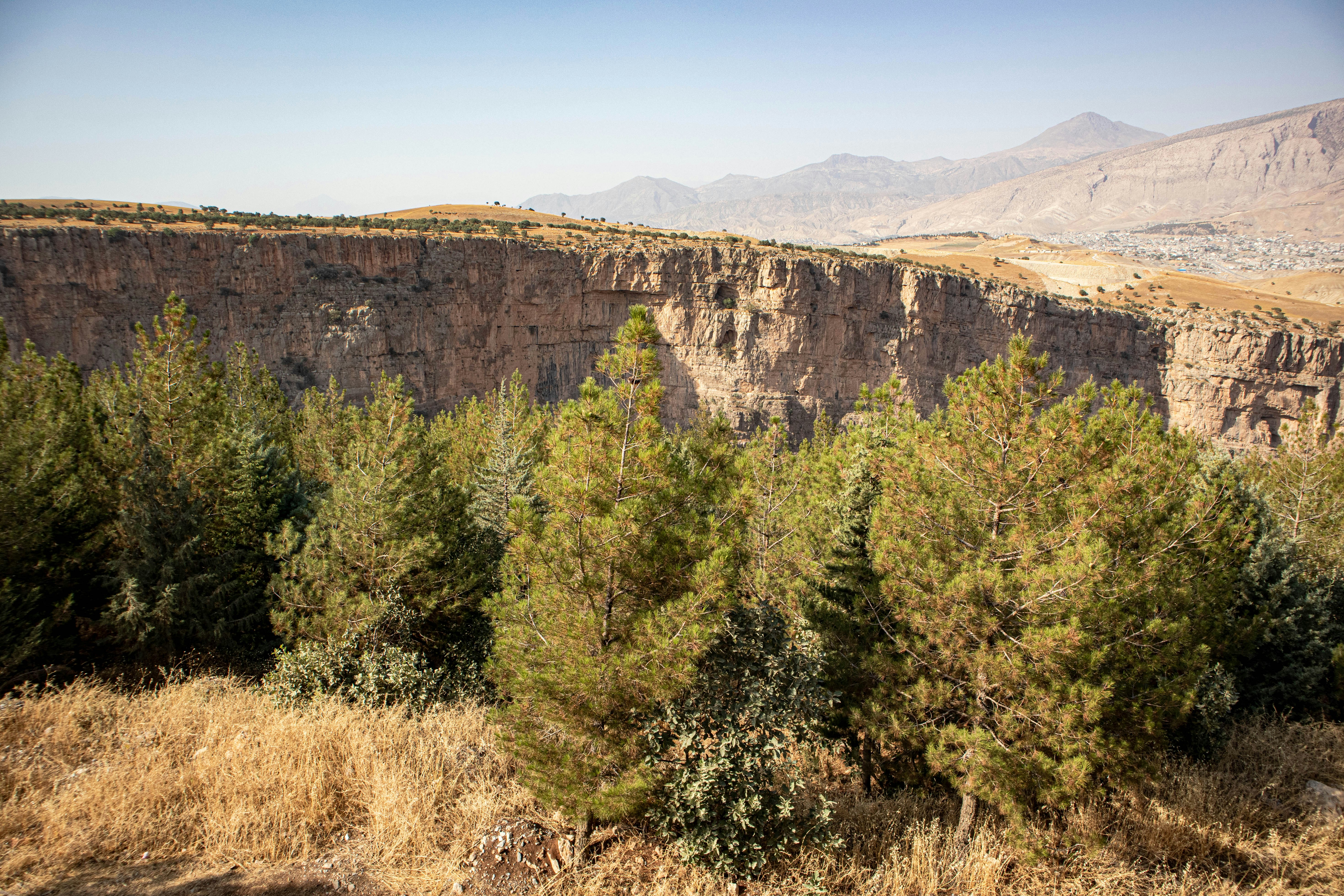 Photo by iraqienkidu