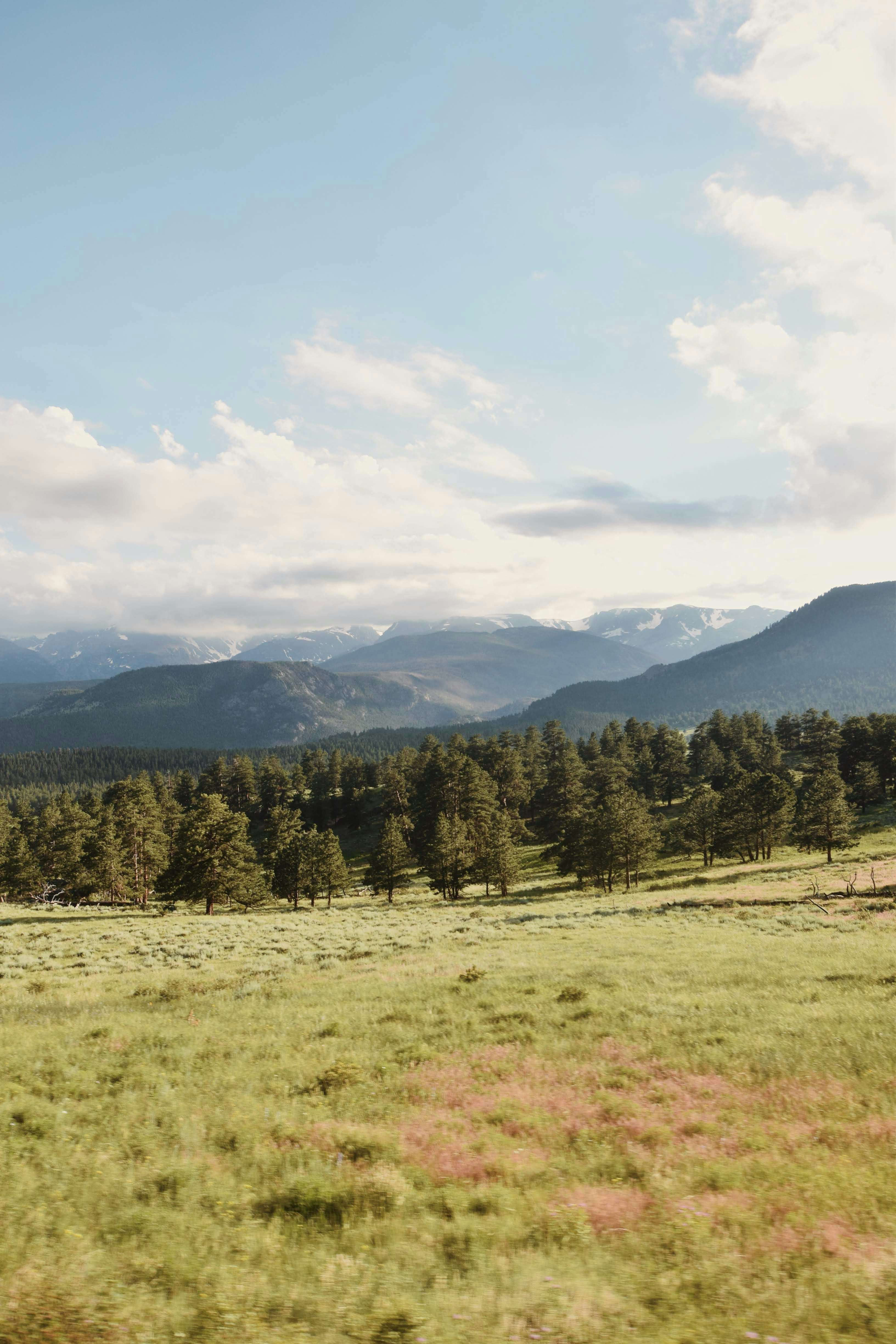 Photo by emilyotwell