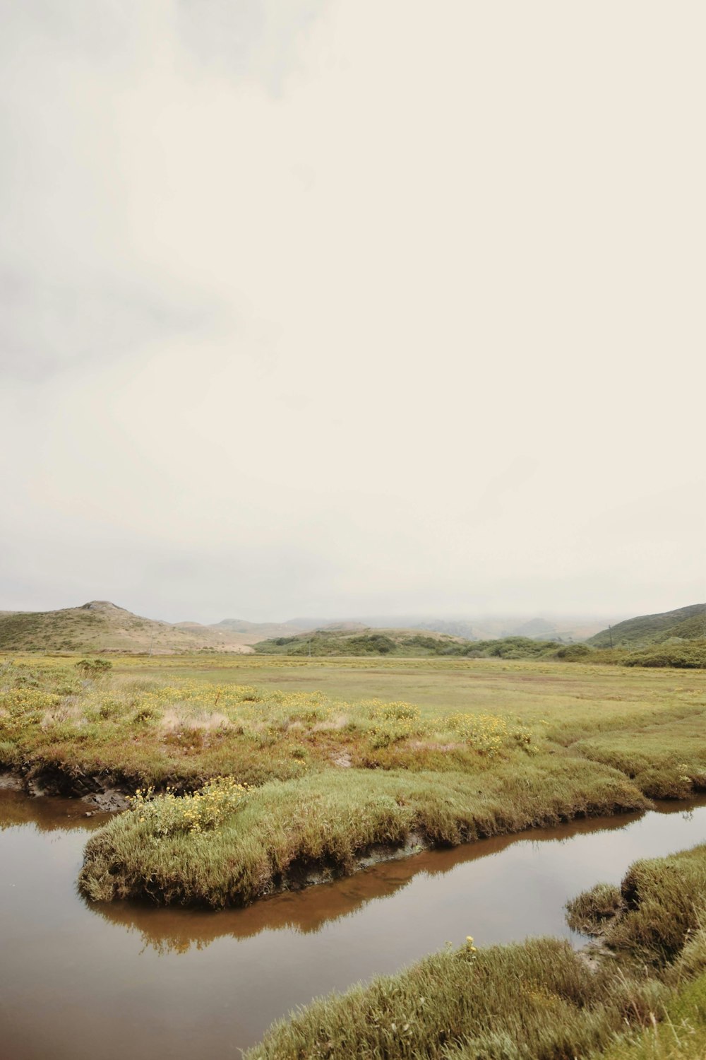 a small pond in a field