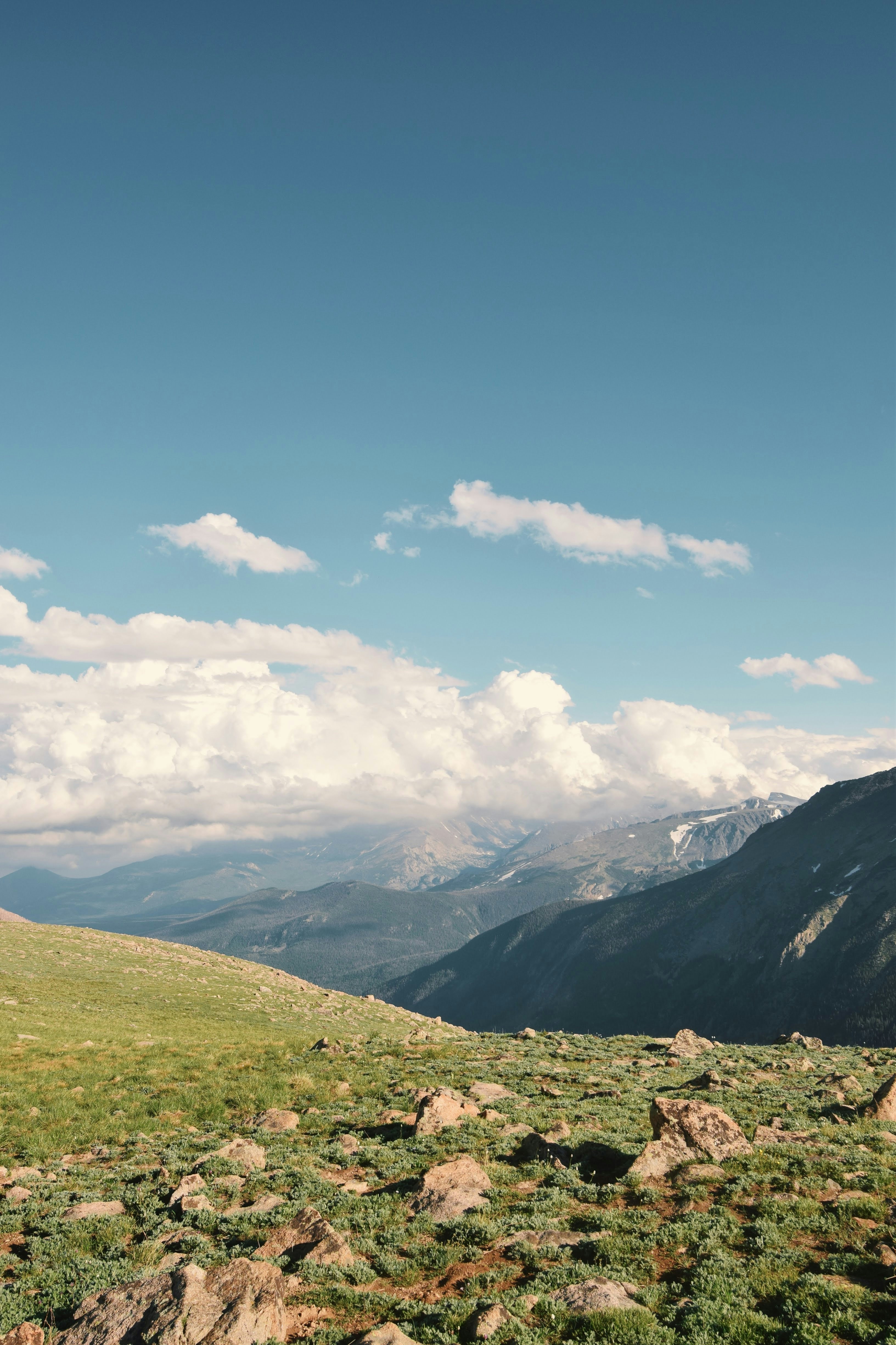 Photo by emilyotwell