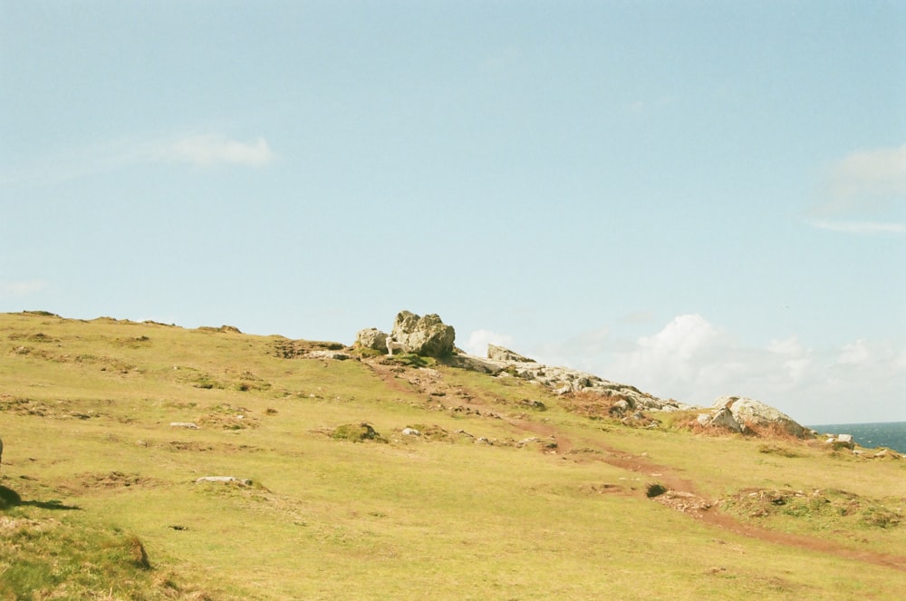 a grassy hill with rocks on it
