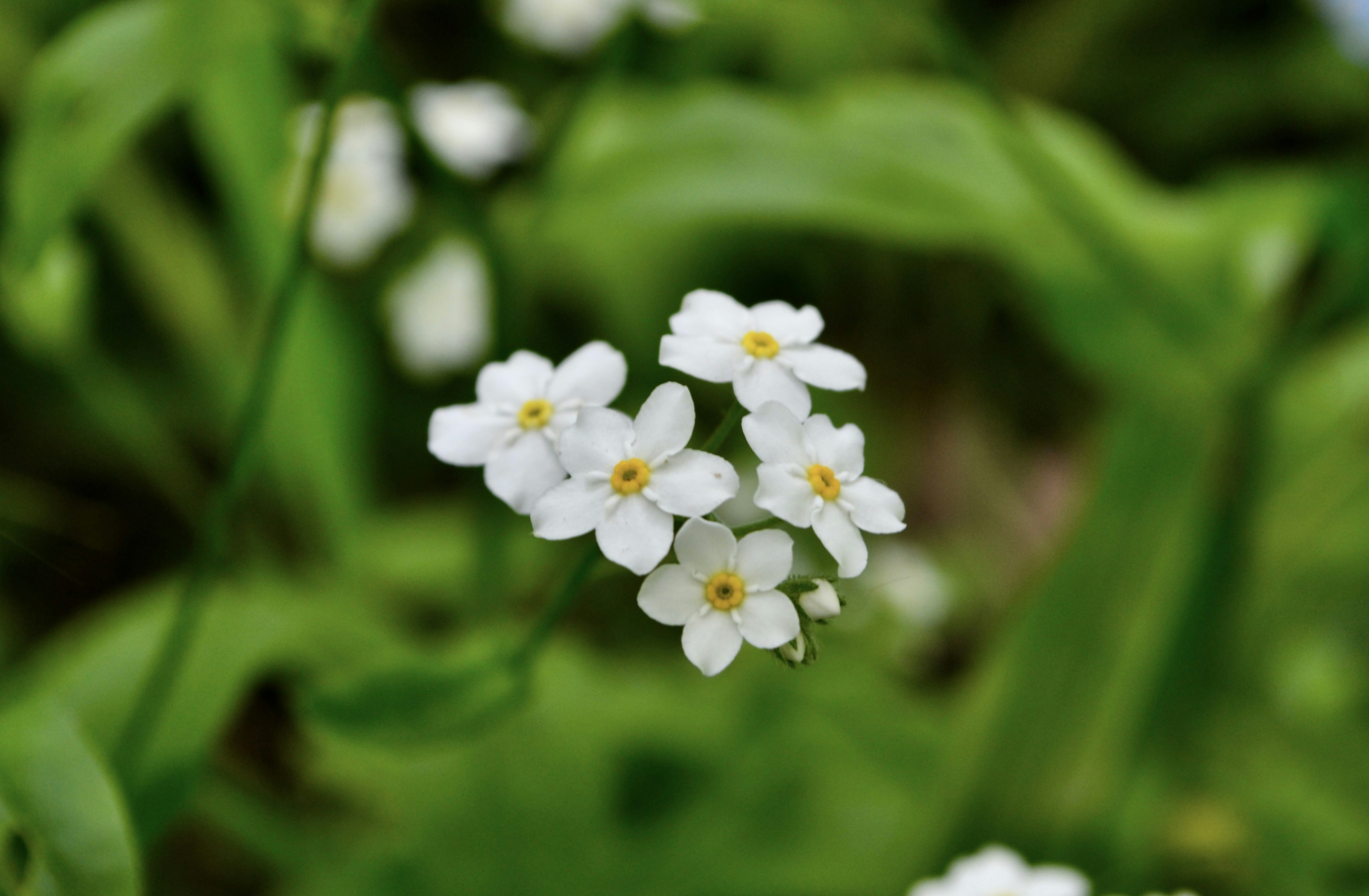 Photo by evgenslavin