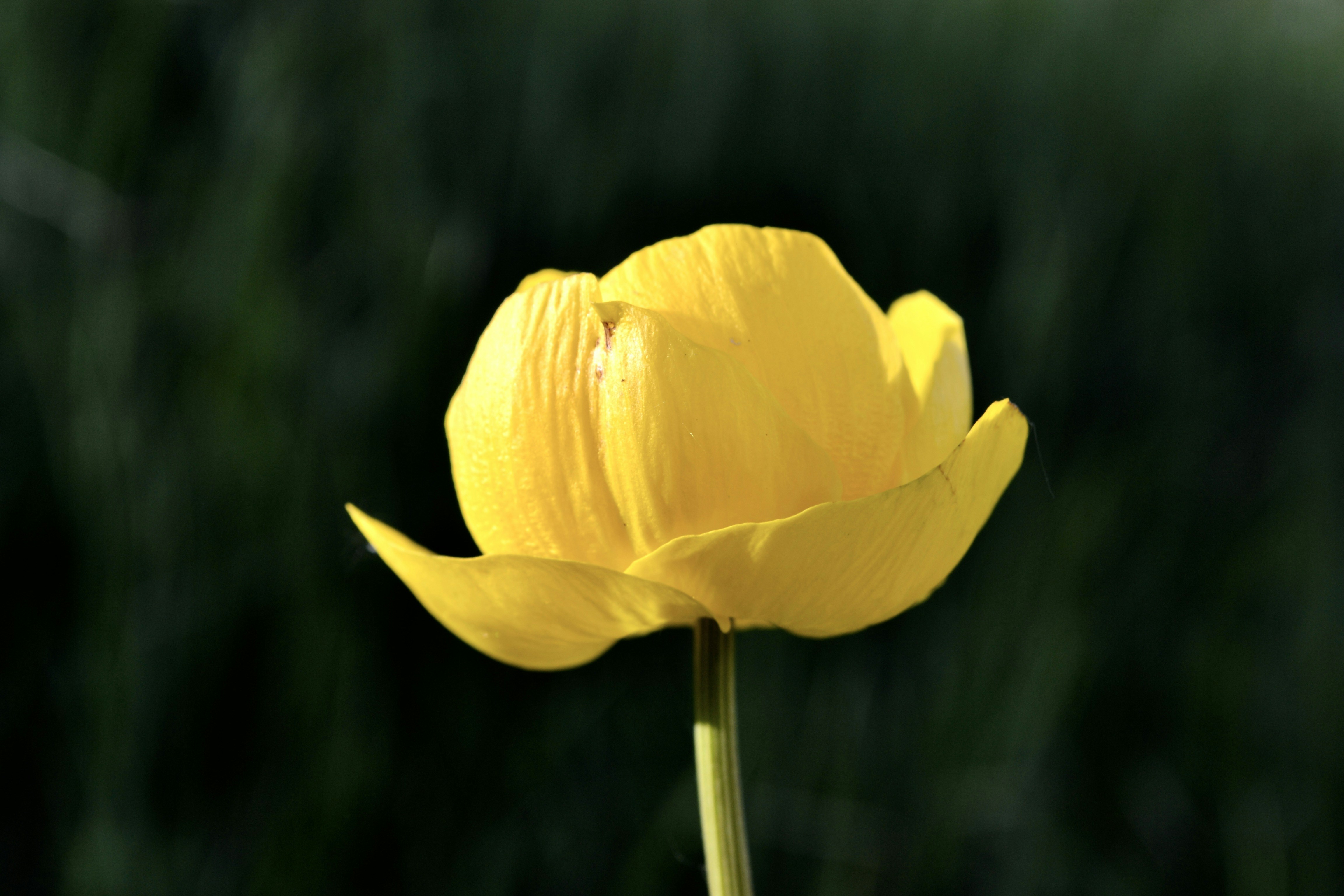 Photo by evgenslavin