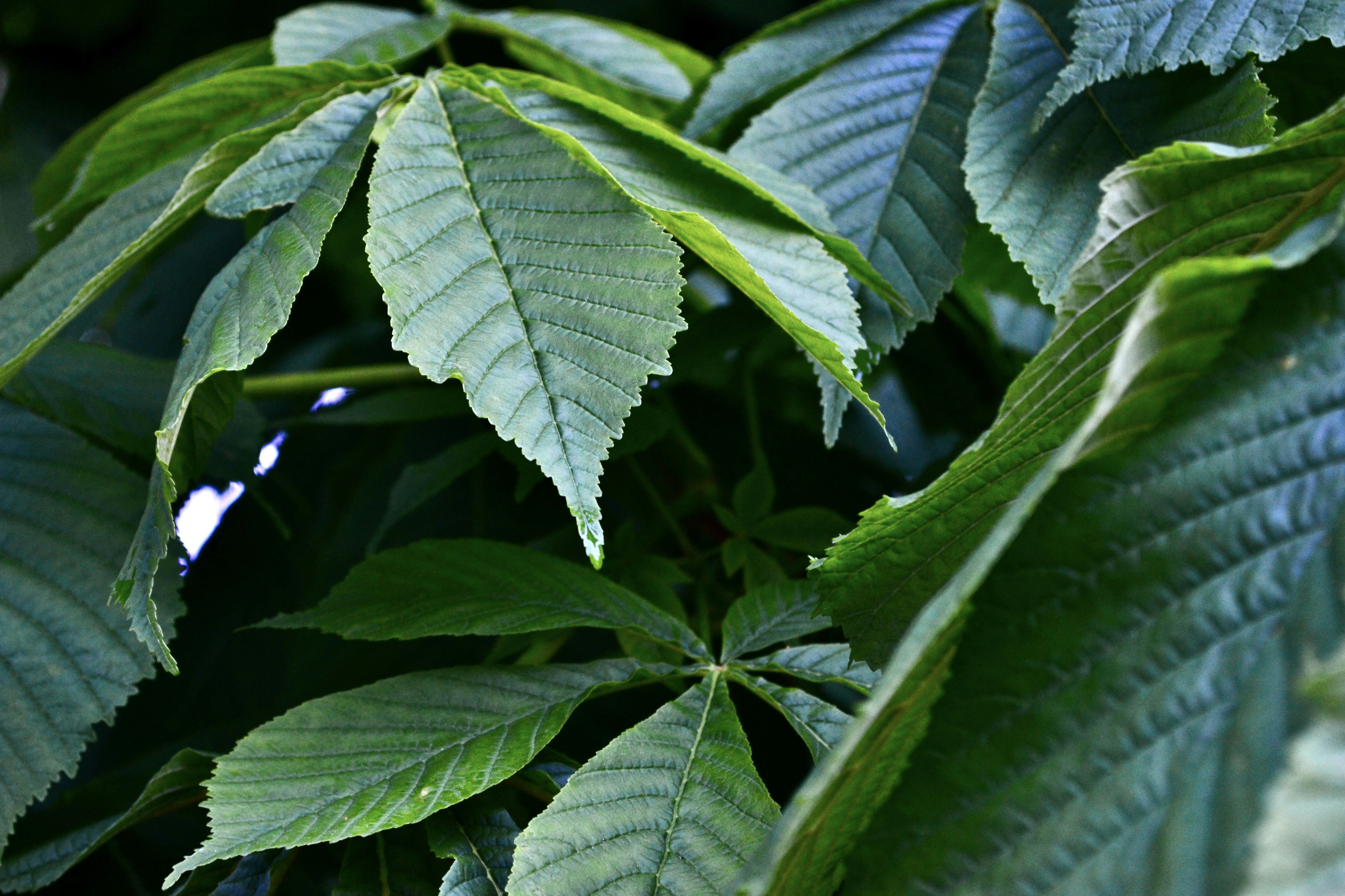 Photo by evgenslavin