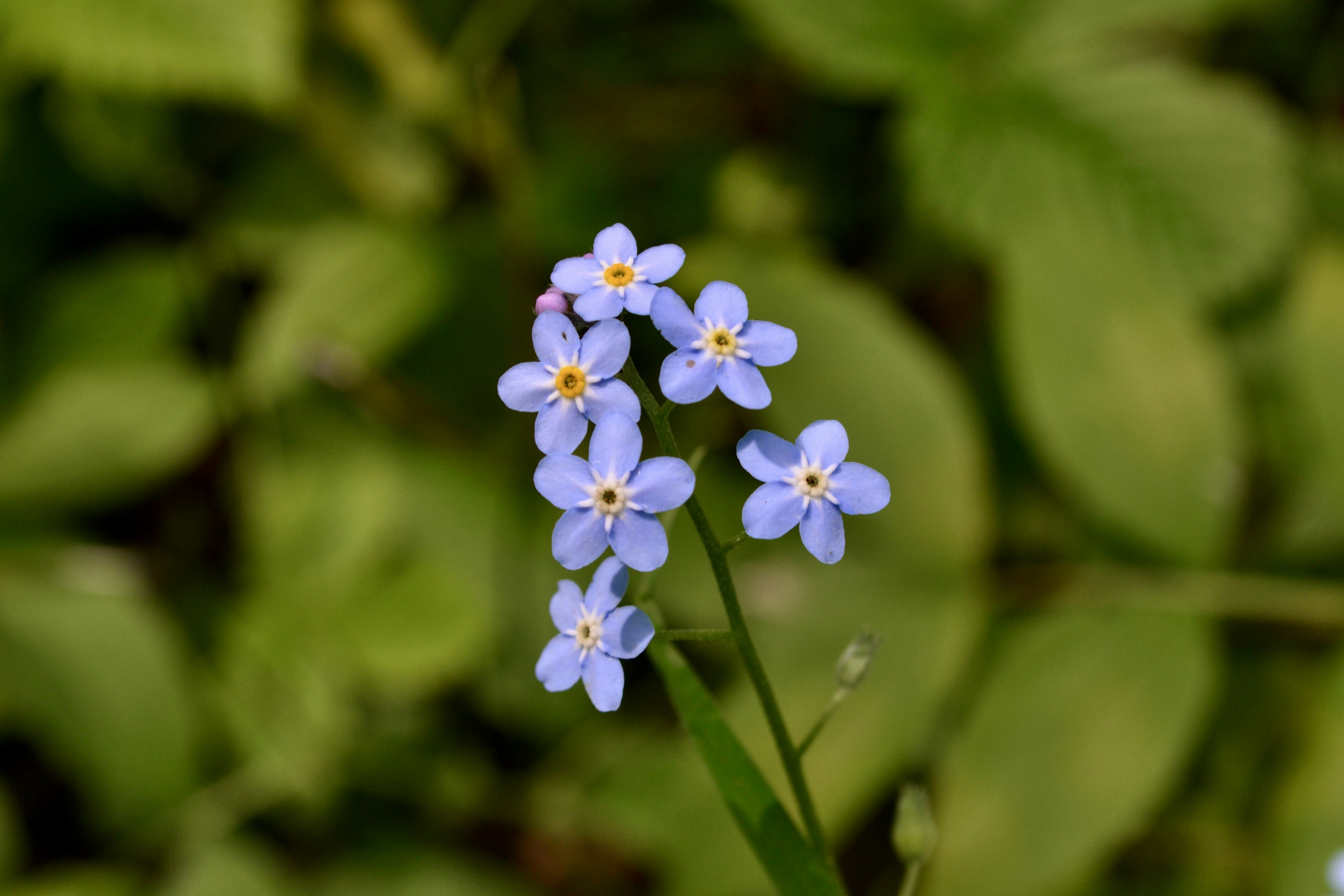 Photo by evgenslavin