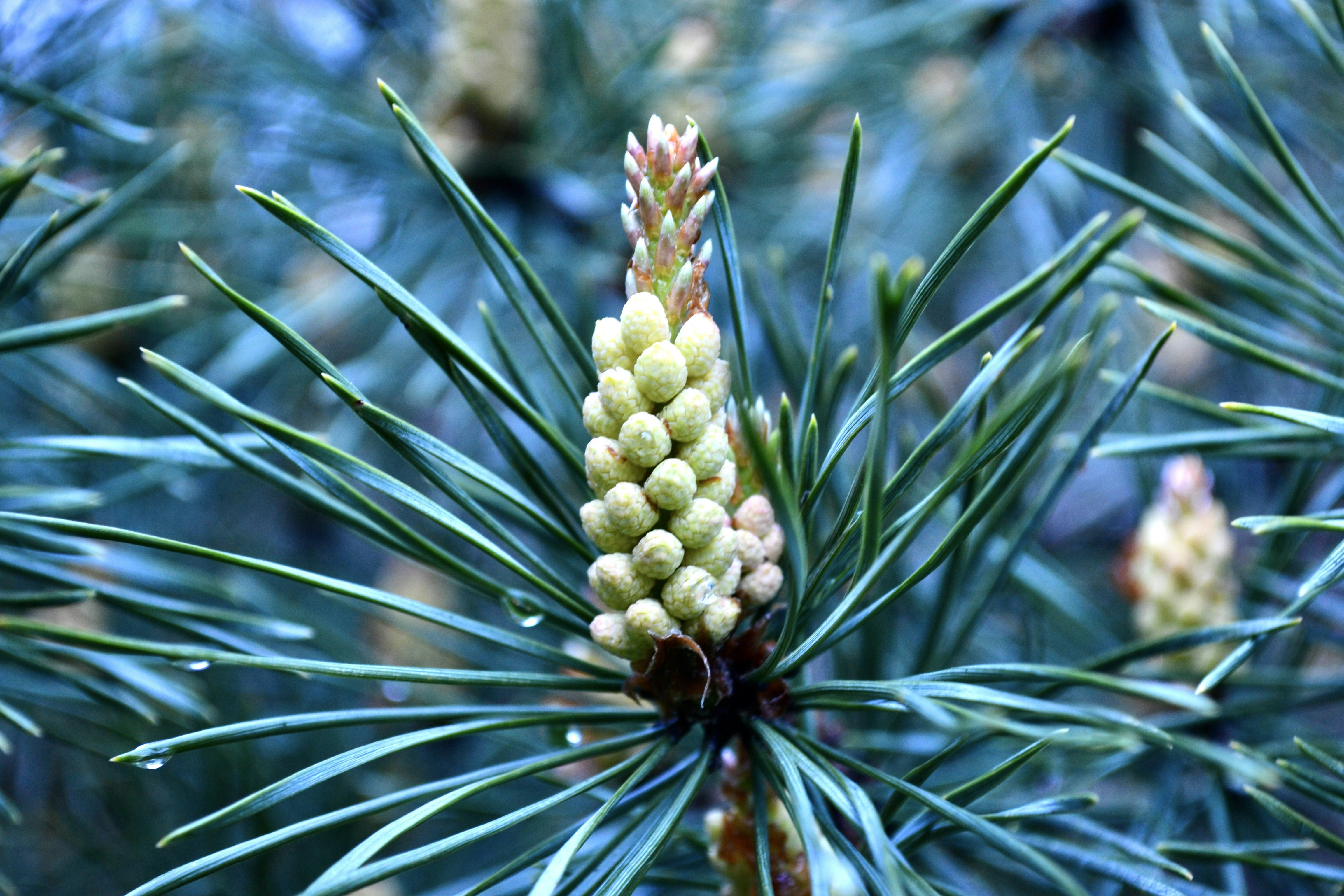 Photo by evgenslavin