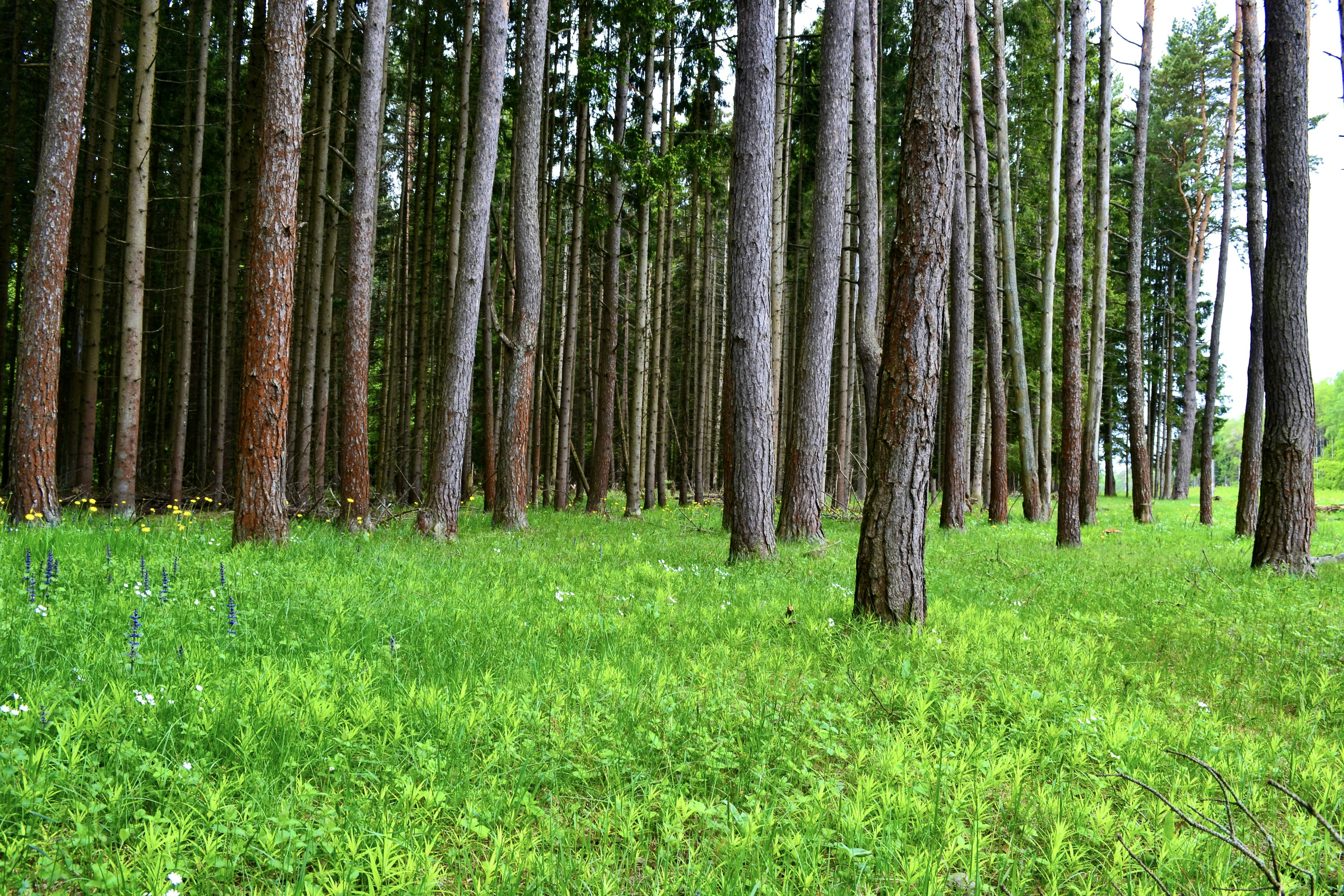 Photo by evgenslavin