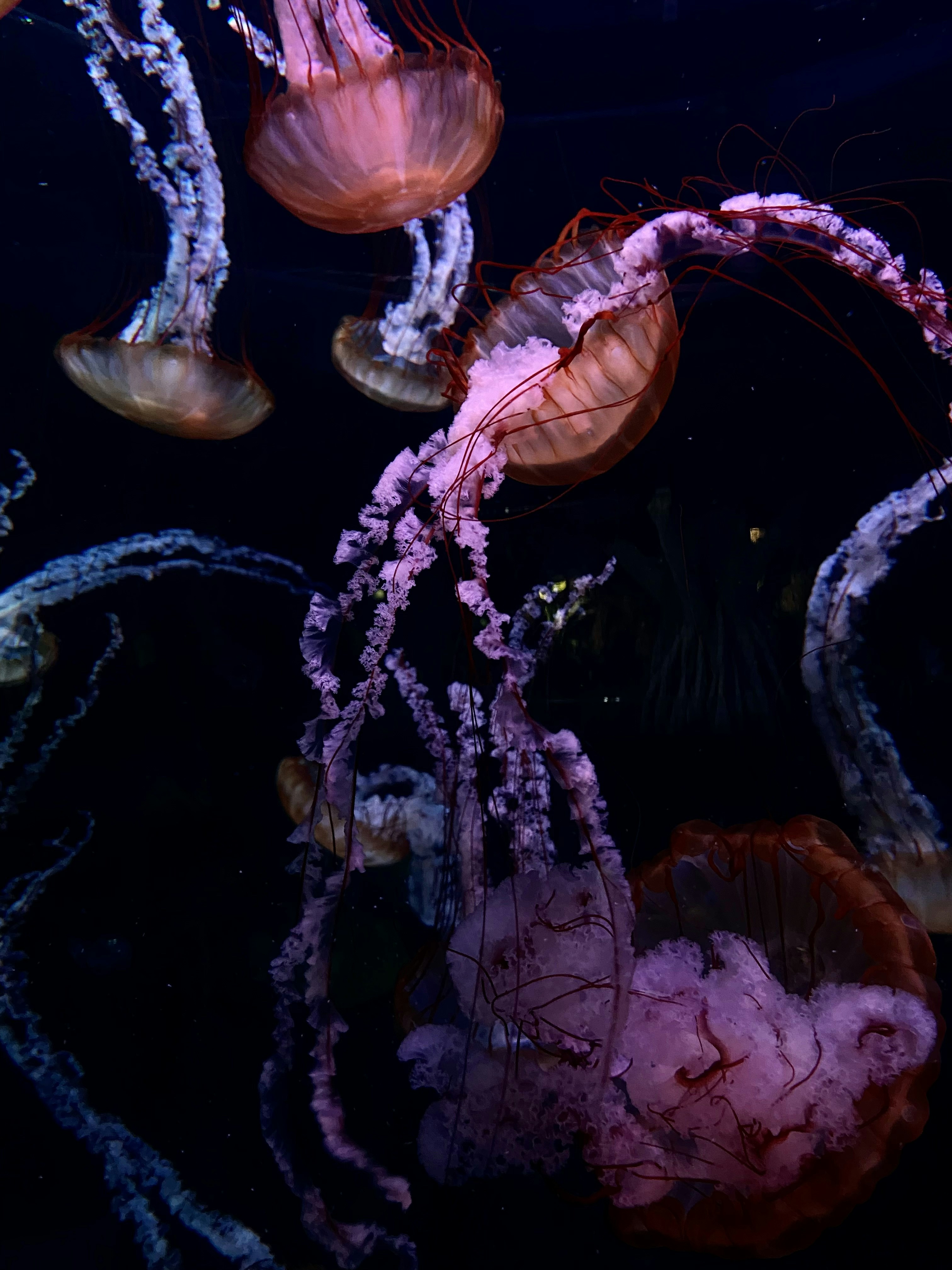 Photo by antichnostt