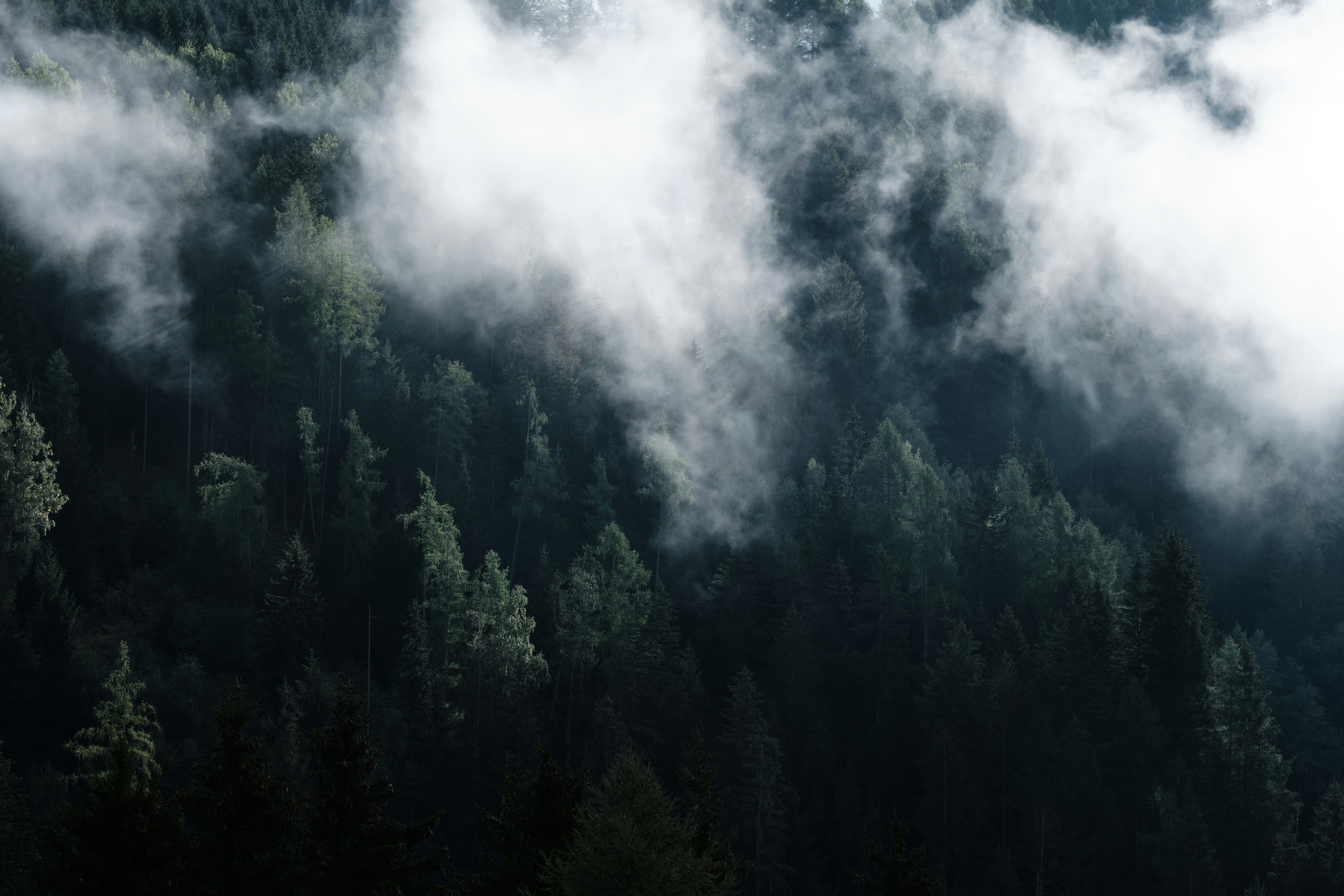 Dead People Who Are Not Dead