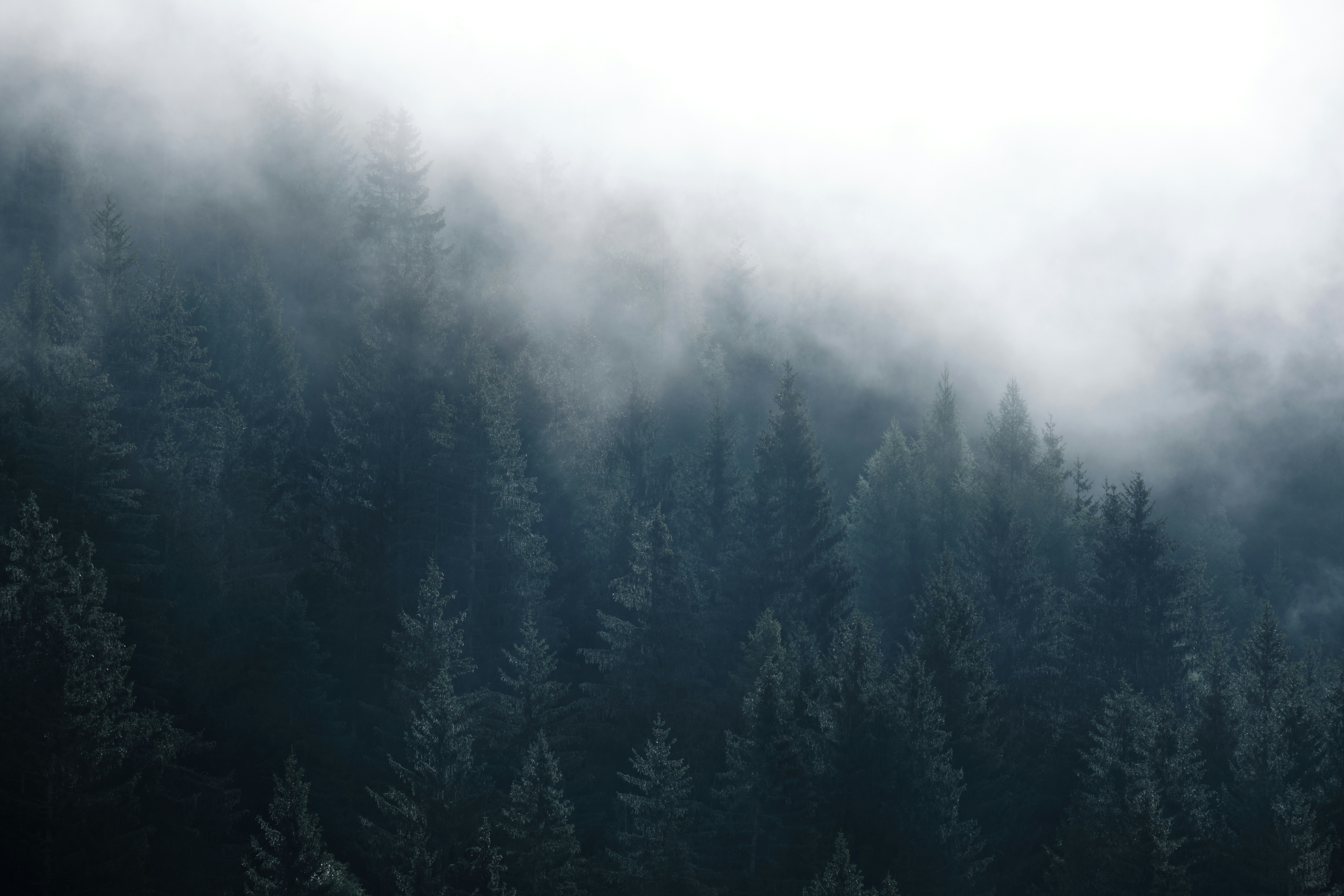 Photo by kaloczidev_