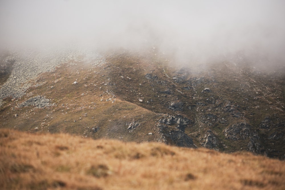 a landscape with a hill and trees