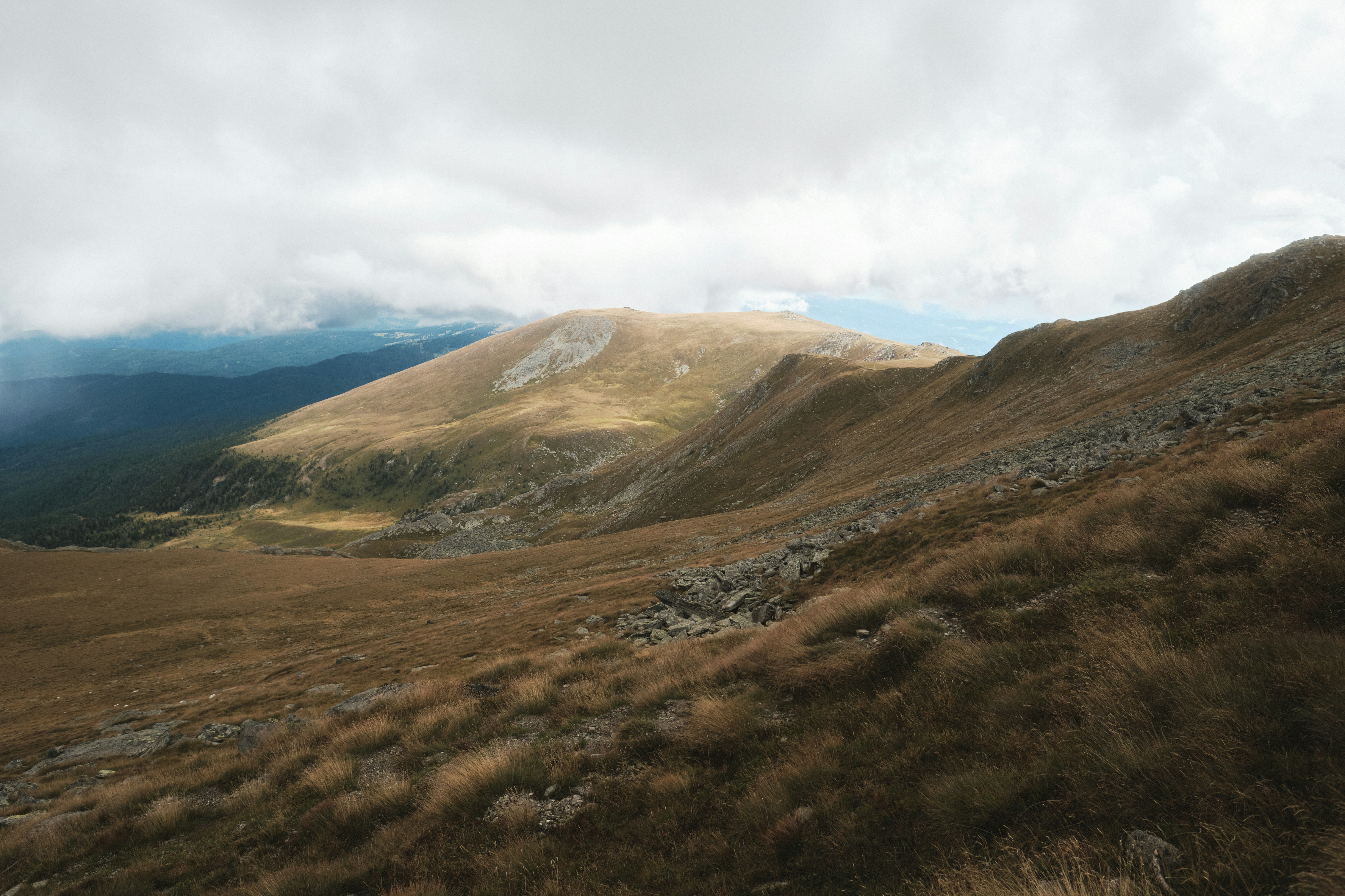 Photo by kaloczidev_