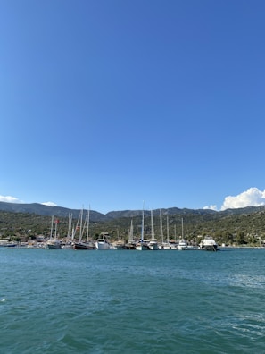 A serene landscape featuring boats anchored near a beach.