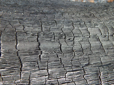 Abstract sculpture made from charred wood with visible cracks and folds.