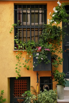 Outdoor patio with vibrant yellow walls and lush green plants.