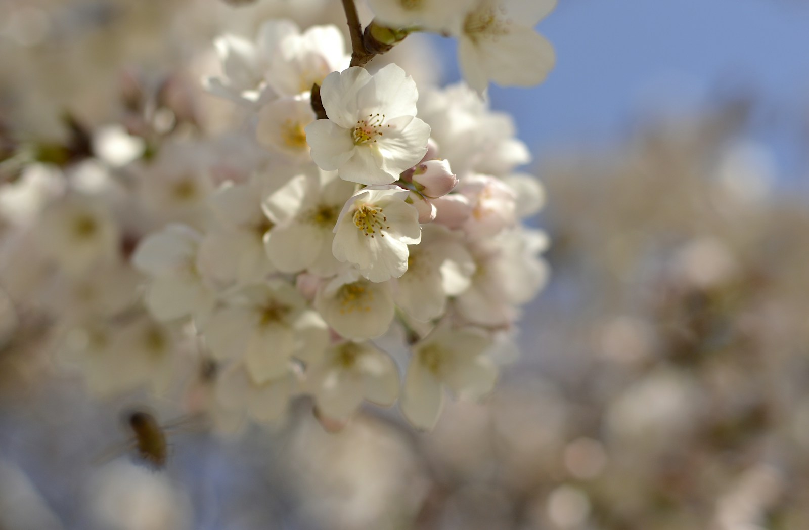 Time to Spring into the Market