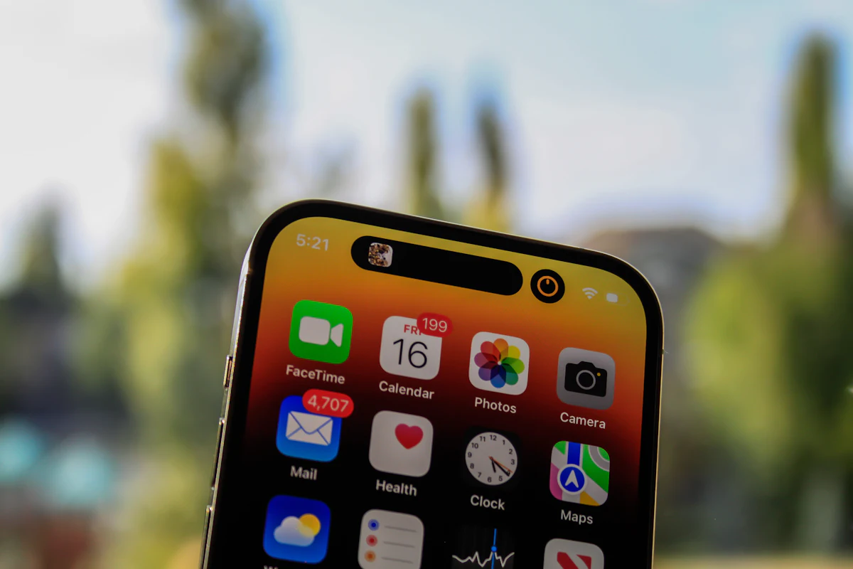 Mobile application interface