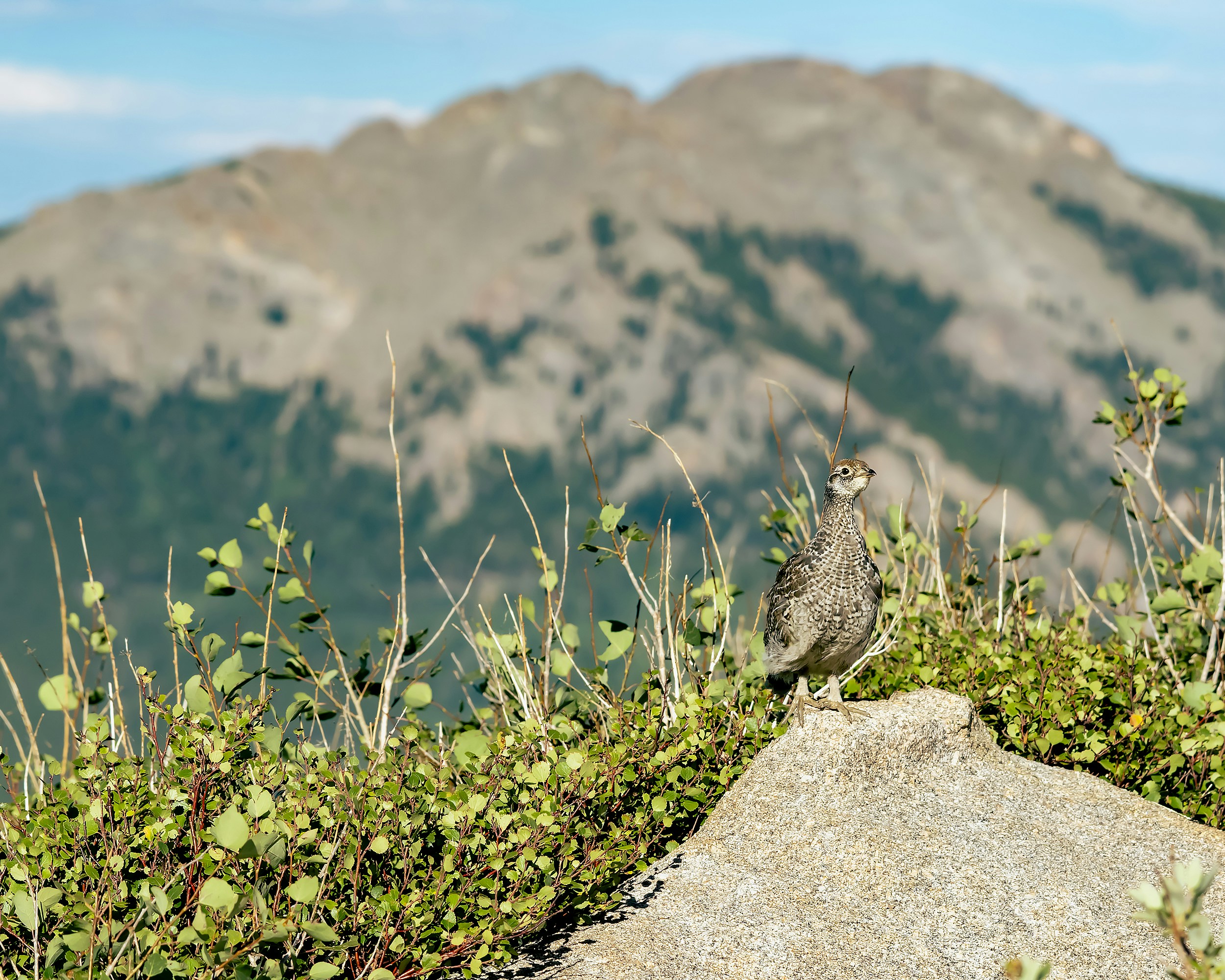 Photo by andyasmarketing