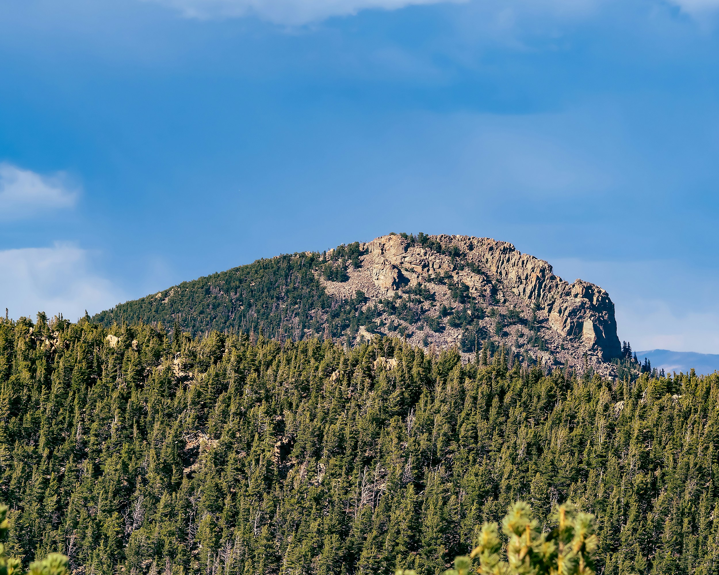 a mountain with trees on it, Pine trees on the edge of Long