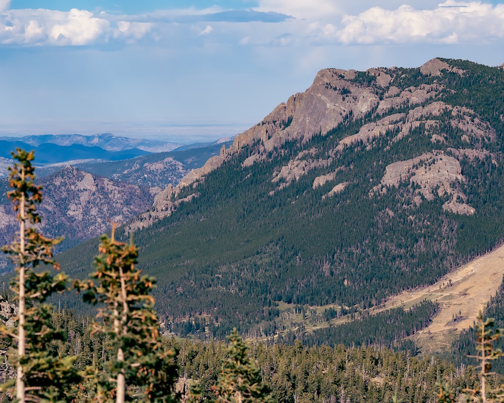 a mountain with trees on it