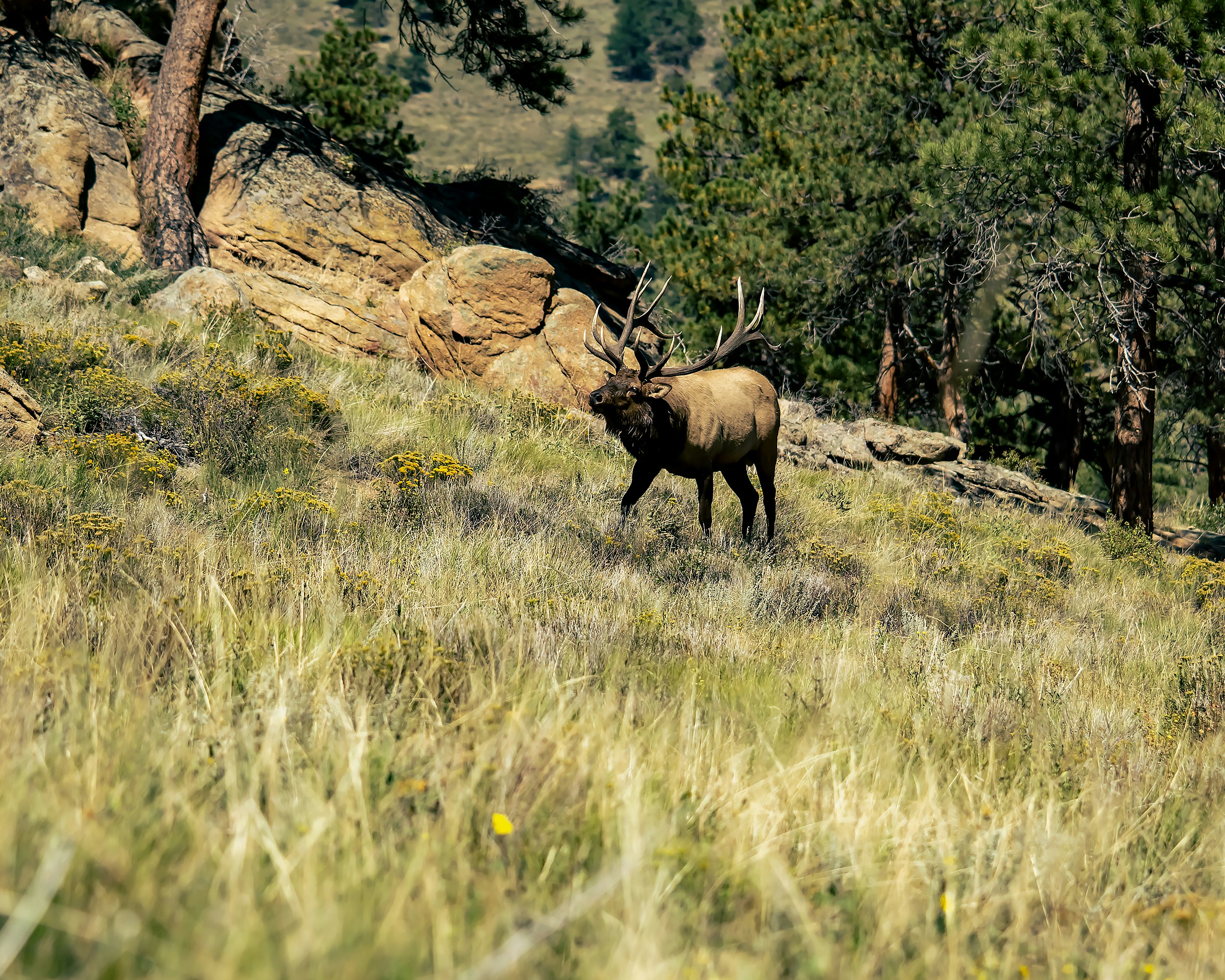 Photo by andyasmarketing