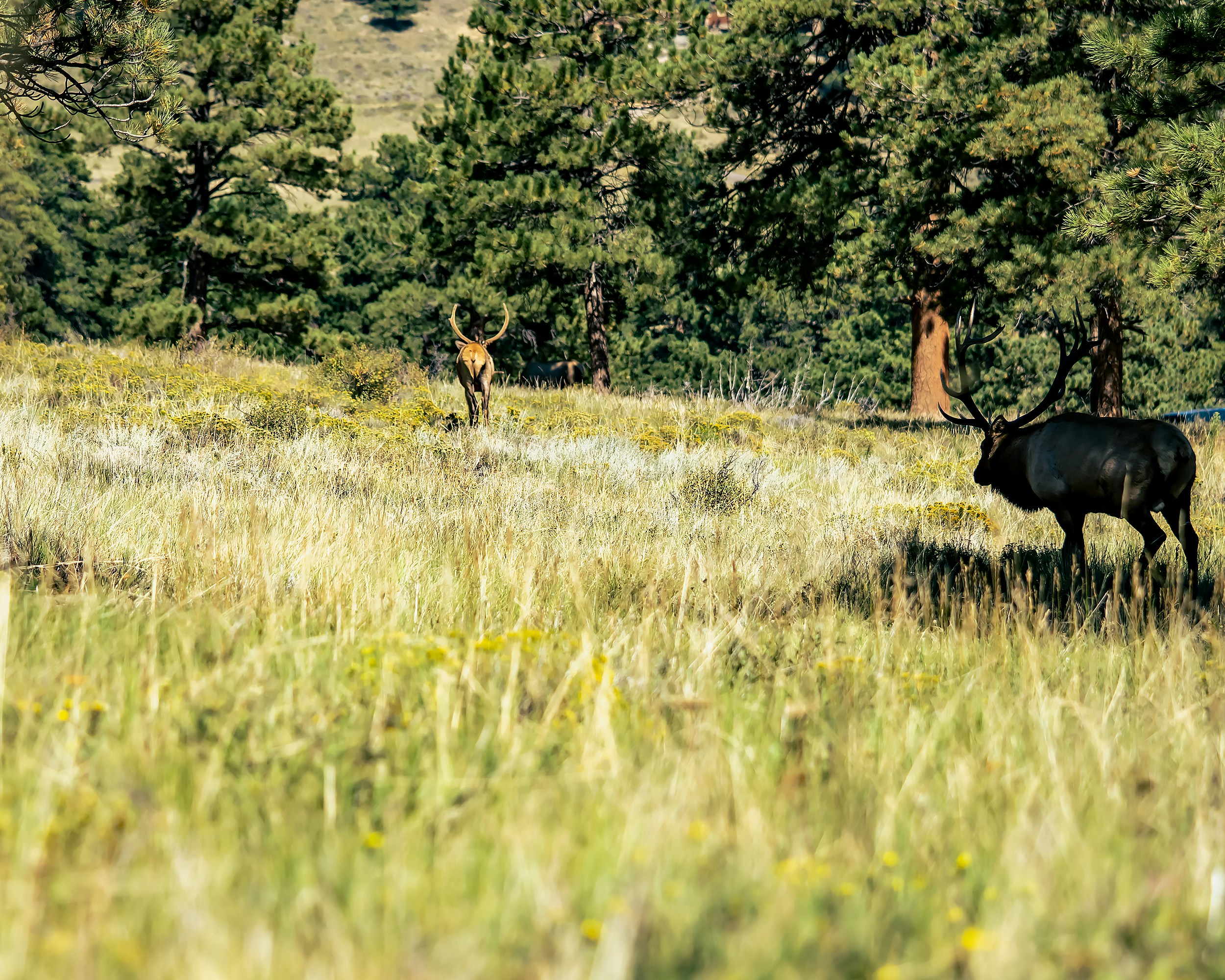 Photo by andyasmarketing