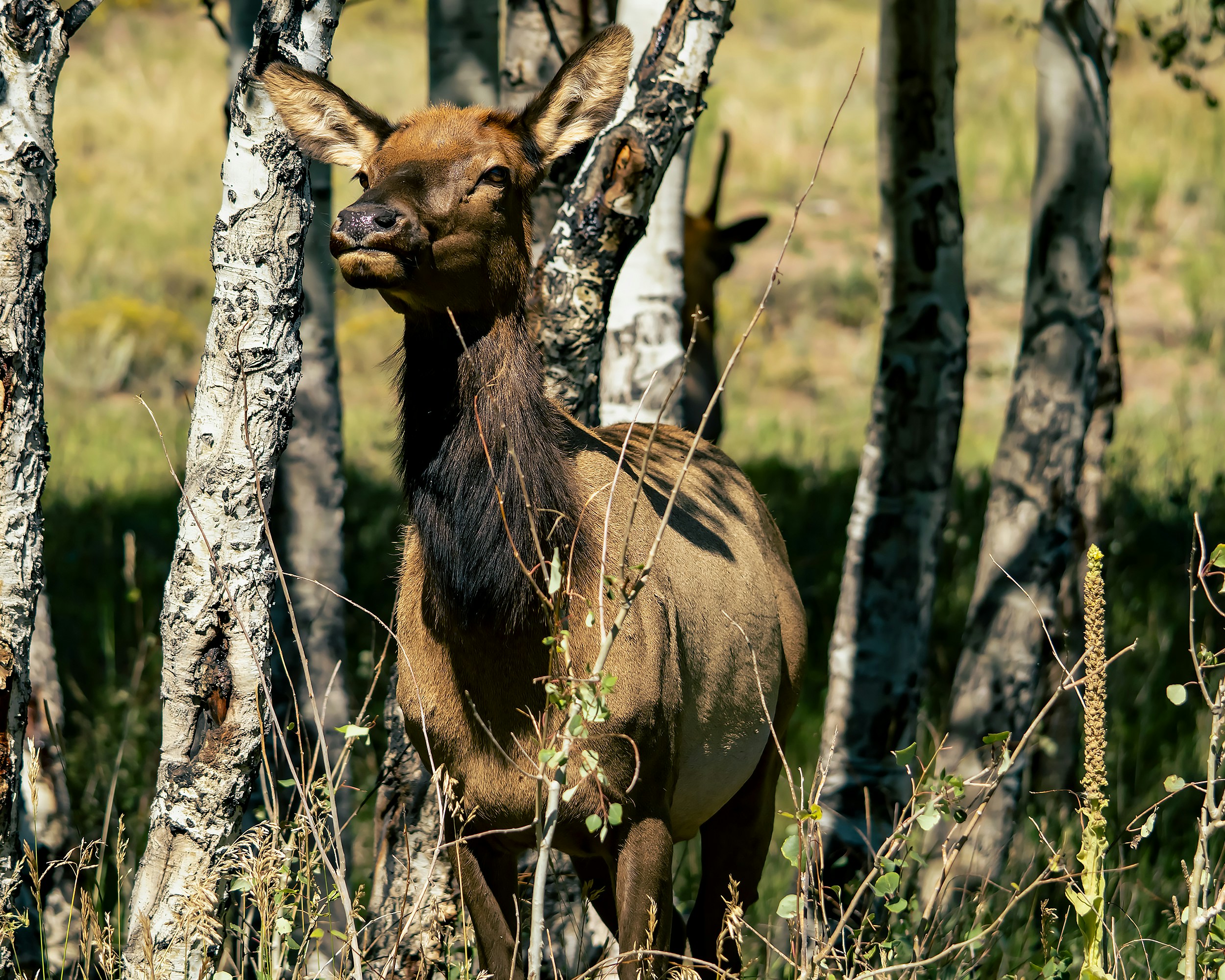 Photo by andyasmarketing