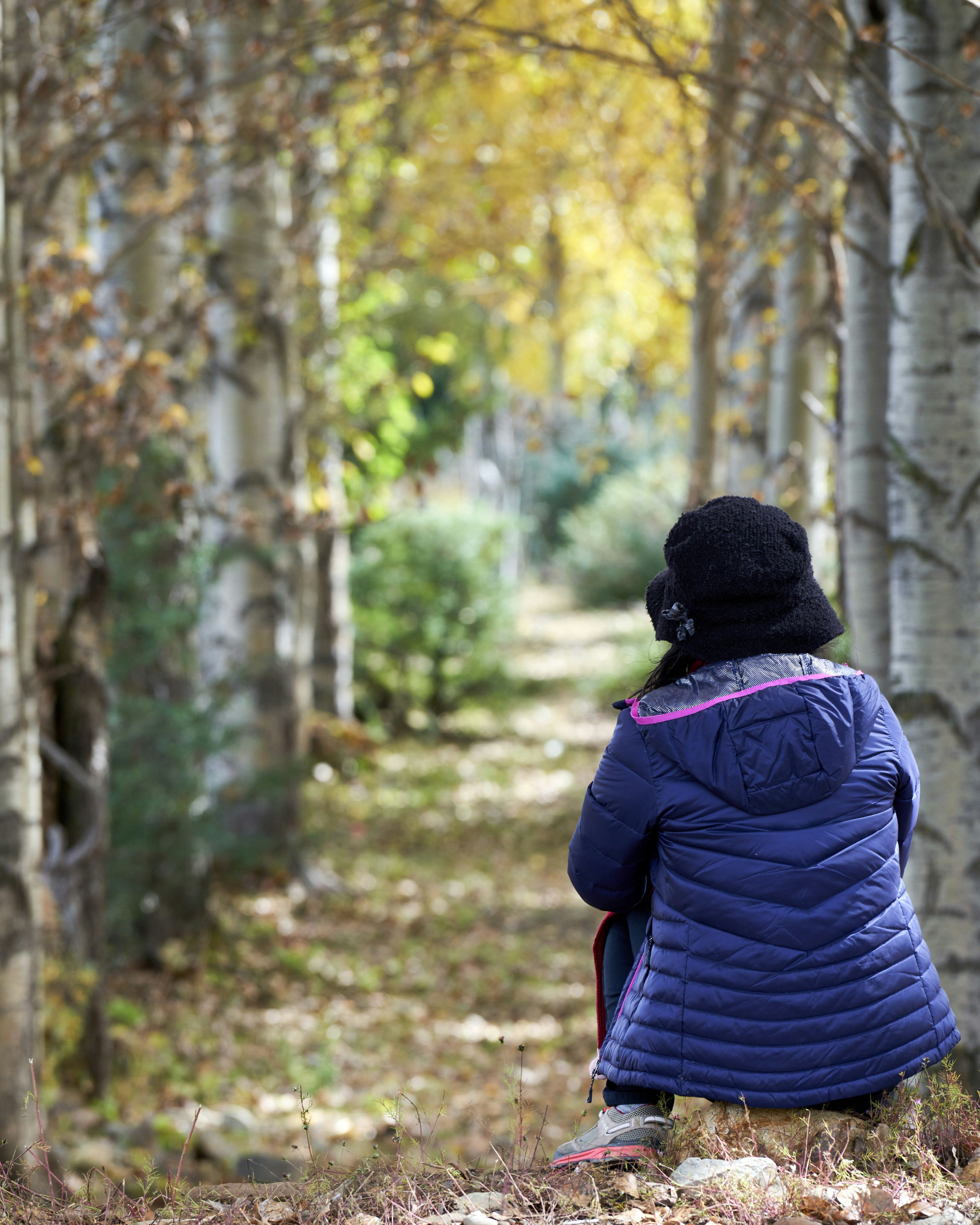 una persona seduta in una foresta