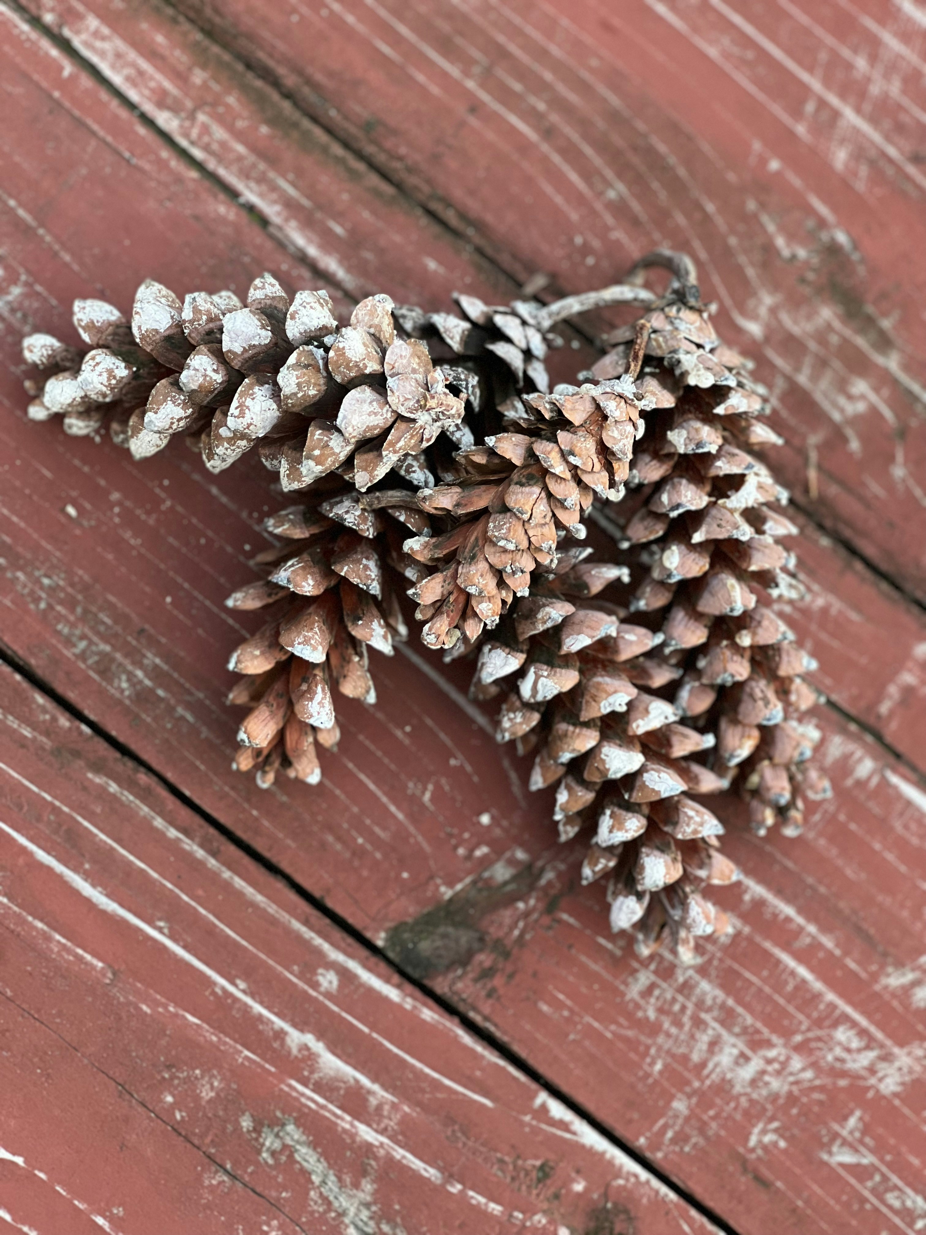 Can You Use Pine-Sol on Wood Floors? A Comprehensive Guide