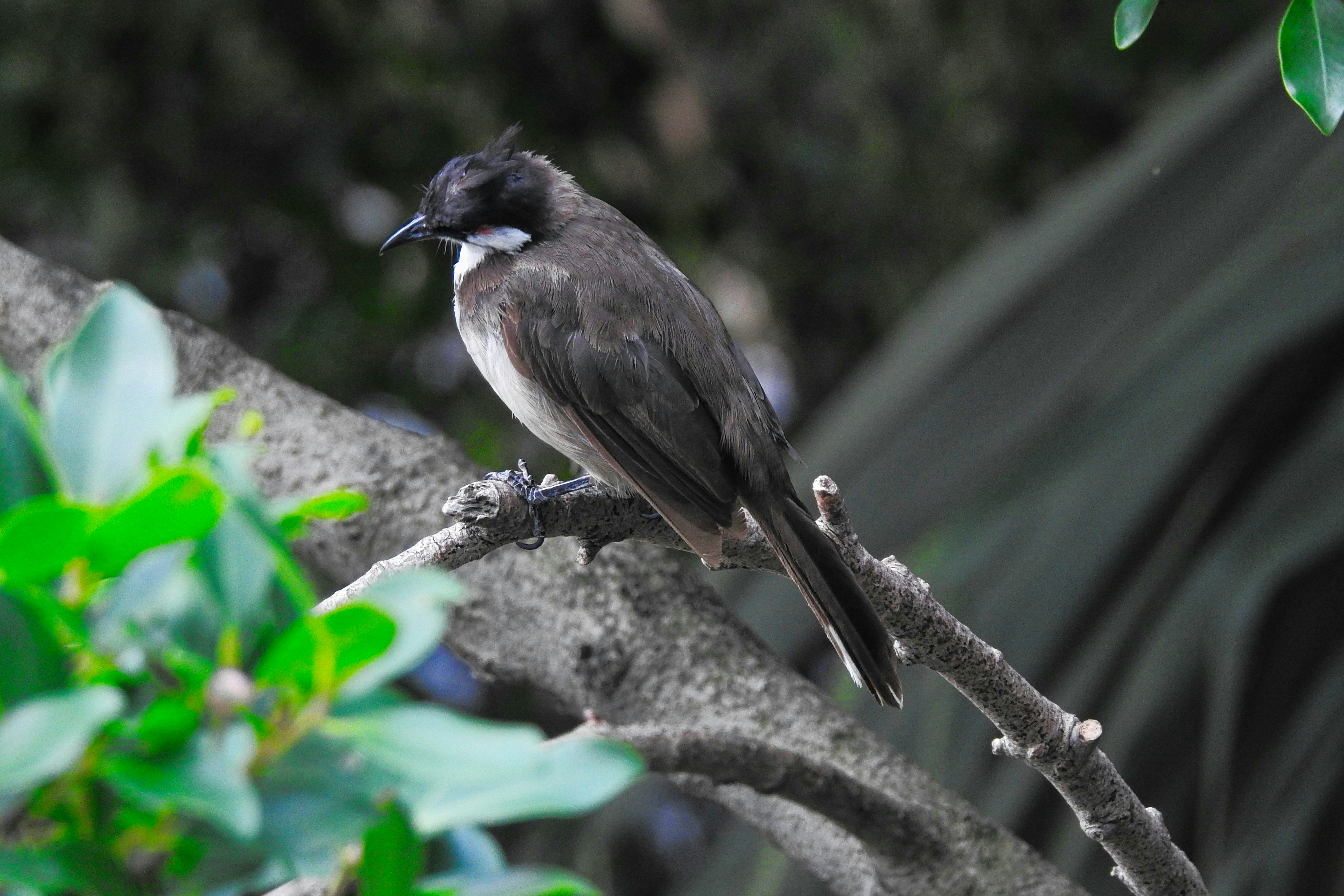 Photo by thomaskinto