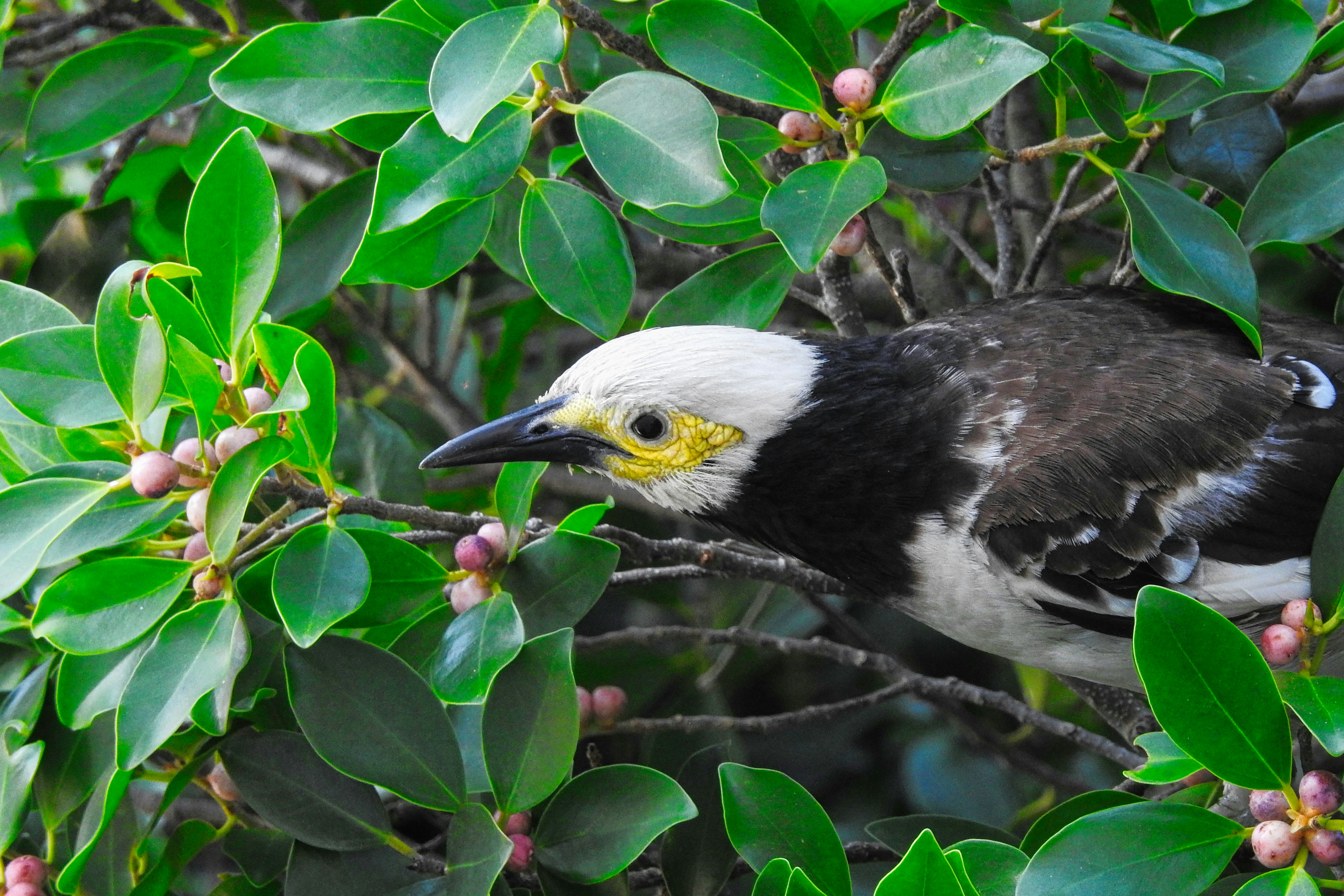 Photo by thomaskinto