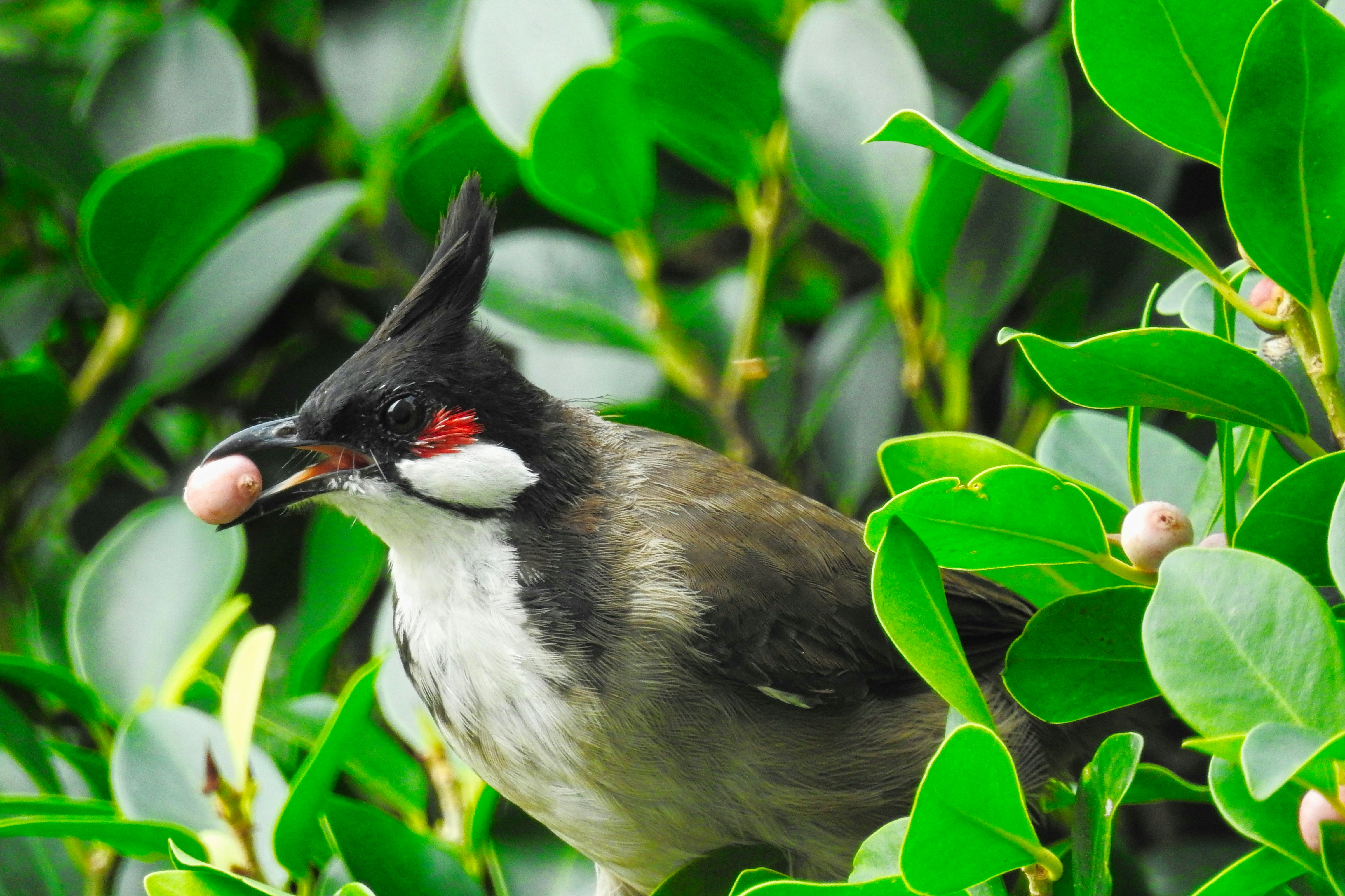 Photo by thomaskinto