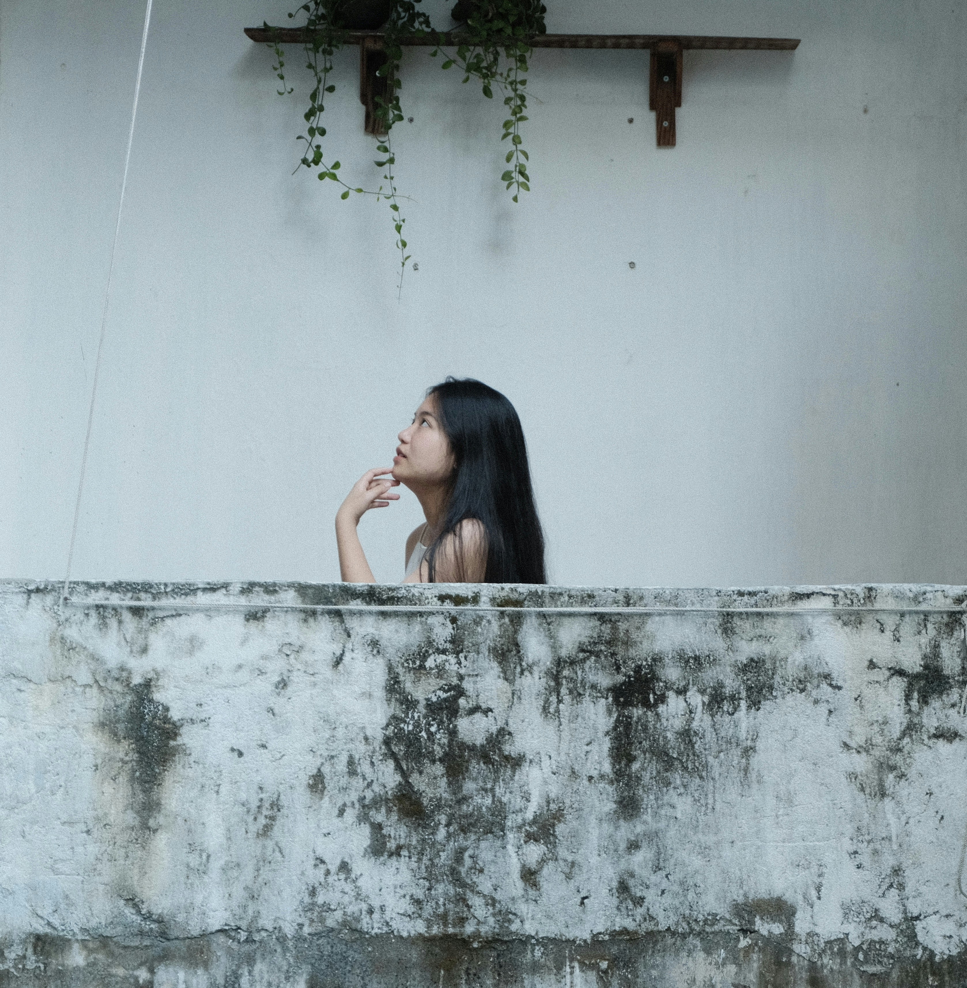 Photo by dvhoang2106