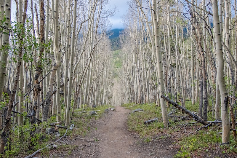 Nature trails