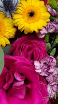 A vibrant bouquet of flowers featuring bright yellow daisies, magenta roses, and bi-colored purple and white carnations. The arrangement includes an exquisite blue thistle, adding texture and contrast. The composition is rich in color and texture, showcasing various floral shapes and sizes.