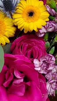 A vibrant bouquet of flowers featuring bright yellow daisies, magenta roses, and bi-colored purple and white carnations. The arrangement includes an exquisite blue thistle, adding texture and contrast. The composition is rich in color and texture, showcasing various floral shapes and sizes.