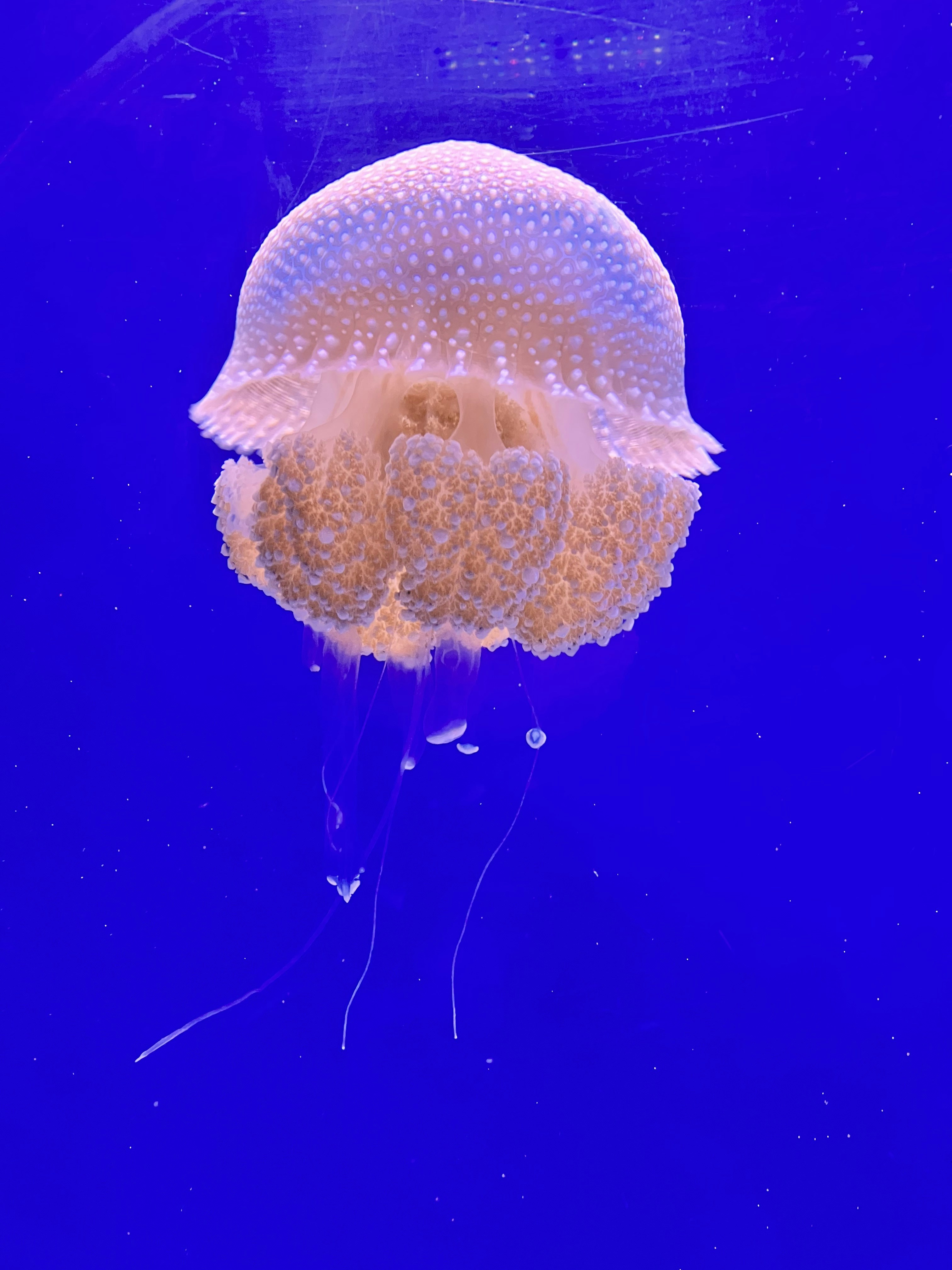 Photo by zahirahchan