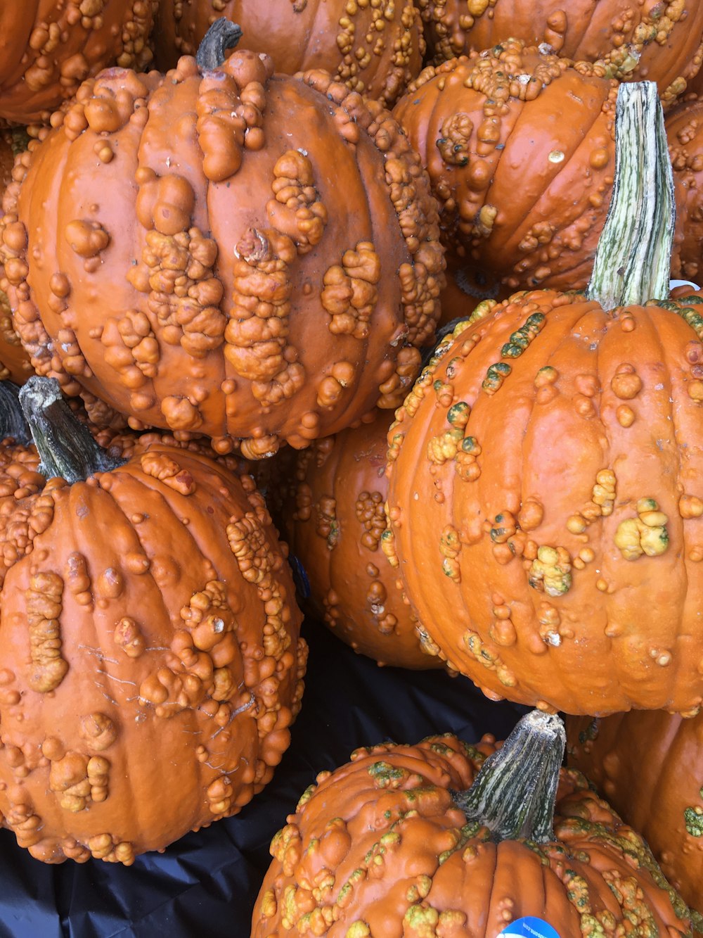 a group of pumpkins