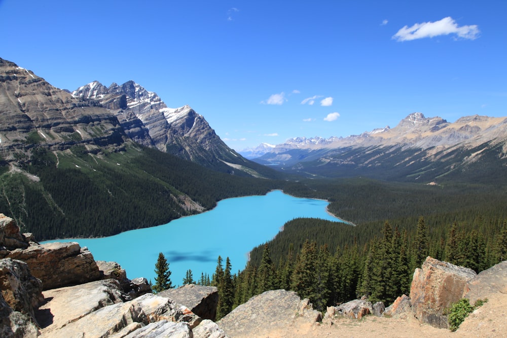 Peyto Lake surrounded by mountains