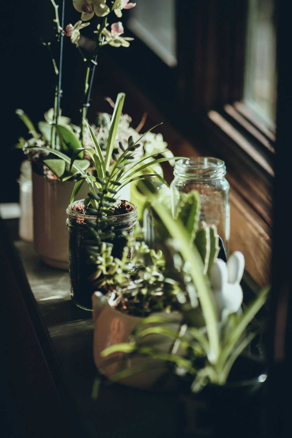 a group of flowers in glass jars