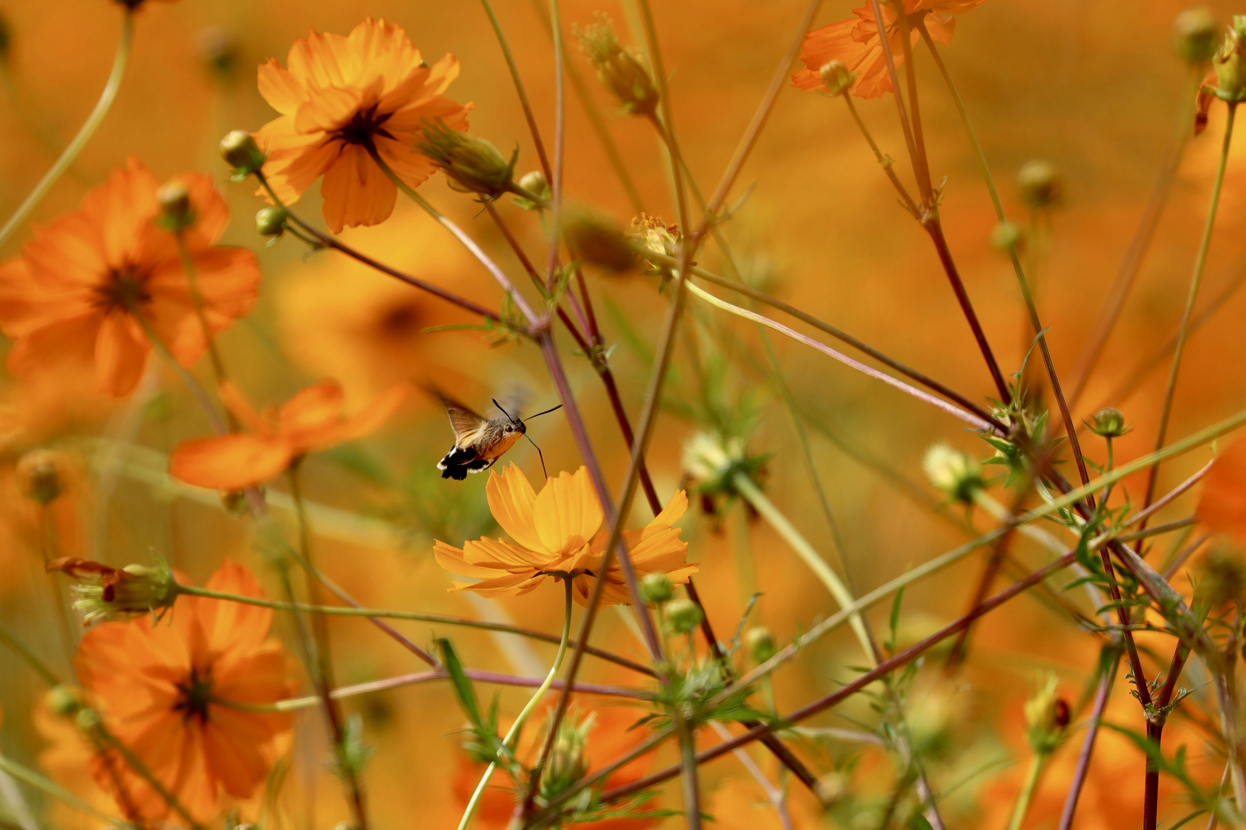 Photo by winefinderac