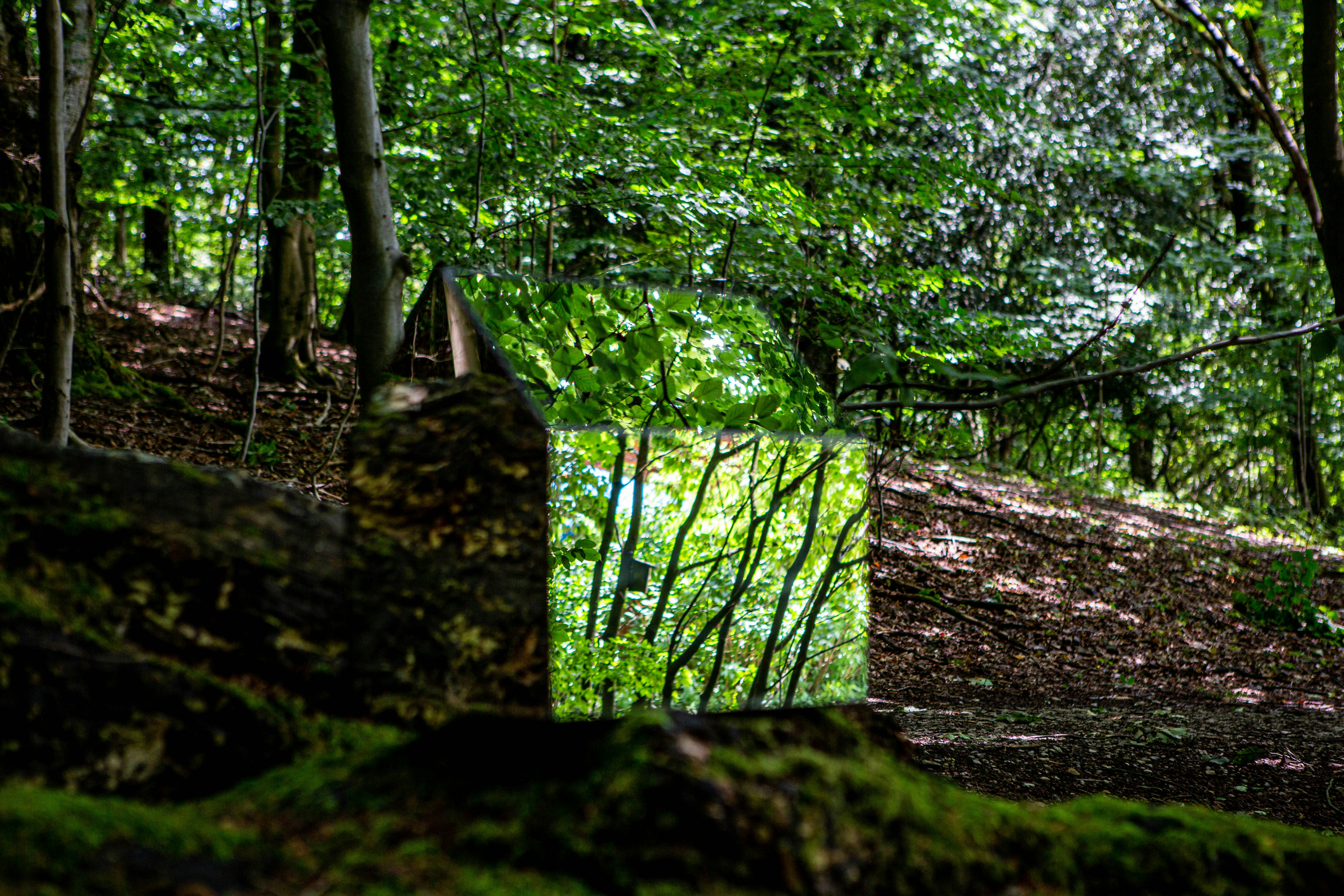 Photo by wilhelmgunkel