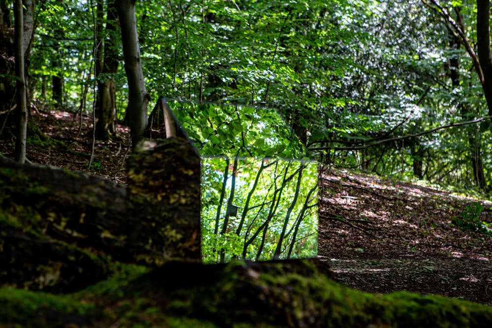 Eine Steinstruktur im Wald