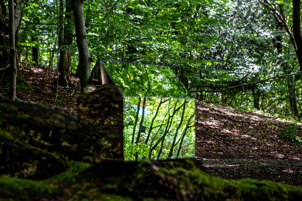 a stone structure in the woods