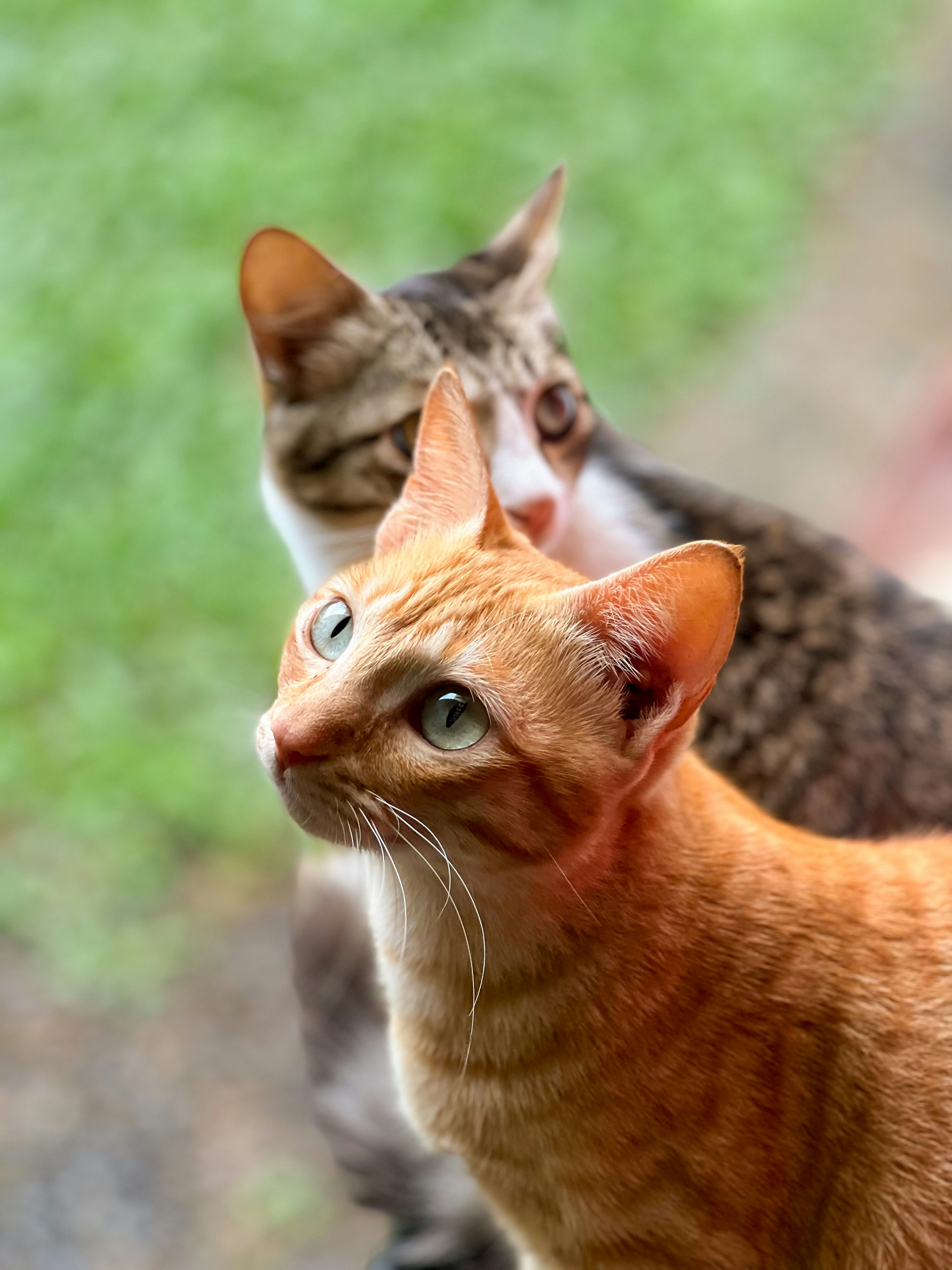 Photo by jeswinjames