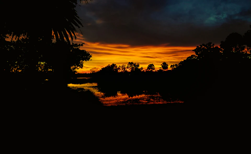Serene sunset over calm waters with silhouetted palm trees and orange-blue sky backdrop