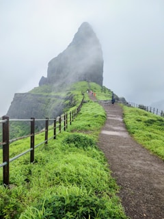 a path with a fence and a mountain in the background