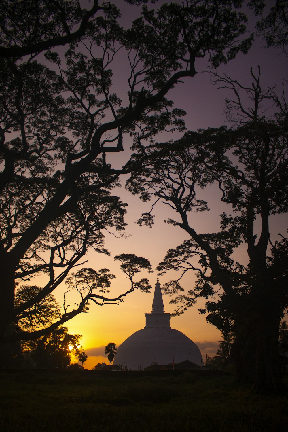 a large building with a dome and trees around it