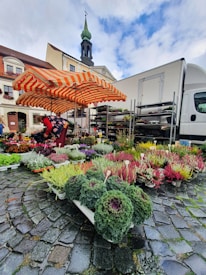 A vibrant flower market with various colorful plants and flowers displayed on the ground and on shelving units. A person is seated under a large orange and white striped umbrella, surrounded by the plants. In the background, there are buildings and a church with a green steeple. A white truck is parked on the right side.