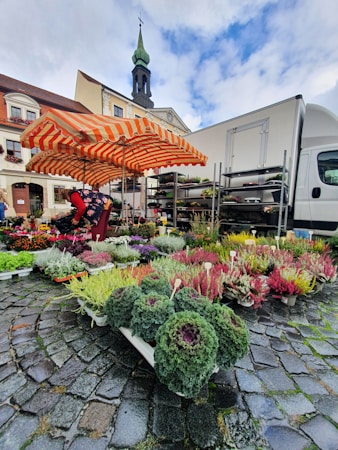 A vibrant flower market with various colorful plants and flowers displayed on the ground and on shelving units. A person is seated under a large orange and white striped umbrella, surrounded by the plants. In the background, there are buildings and a church with a green steeple. A white truck is parked on the right side.